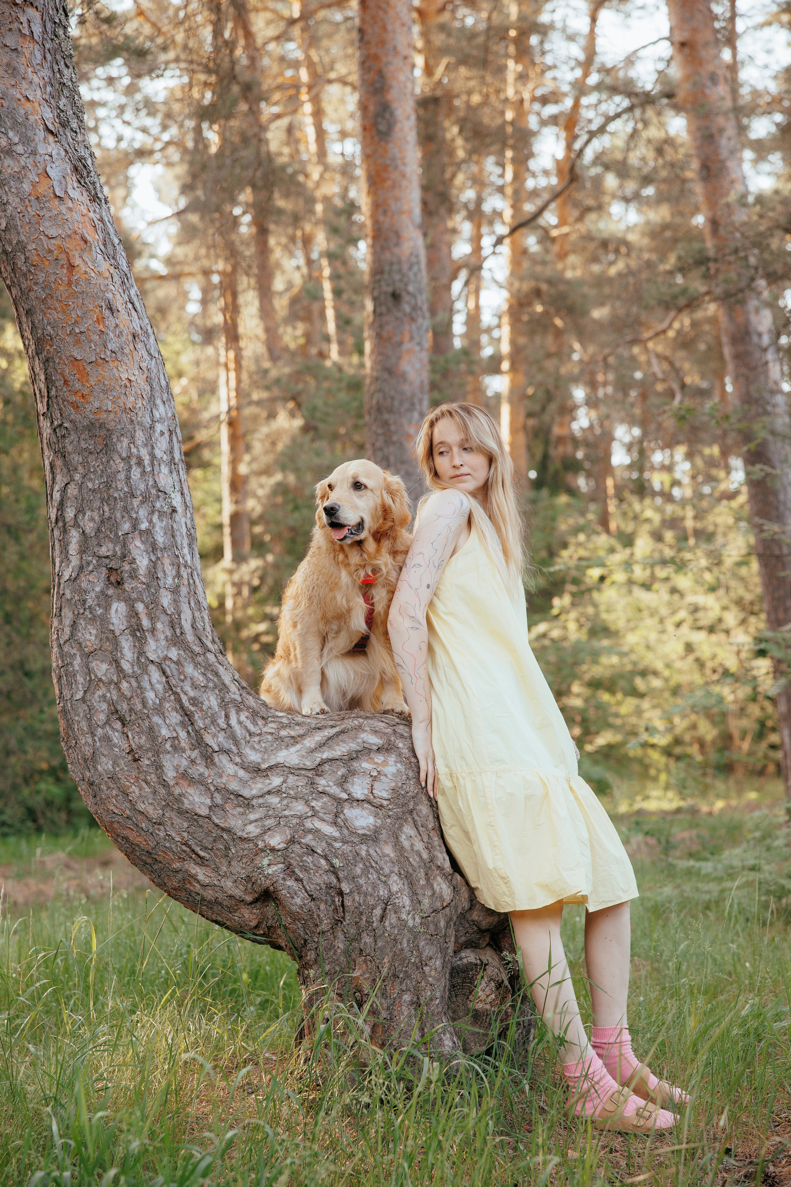 Съемка с собакой. Анастасия Белаш