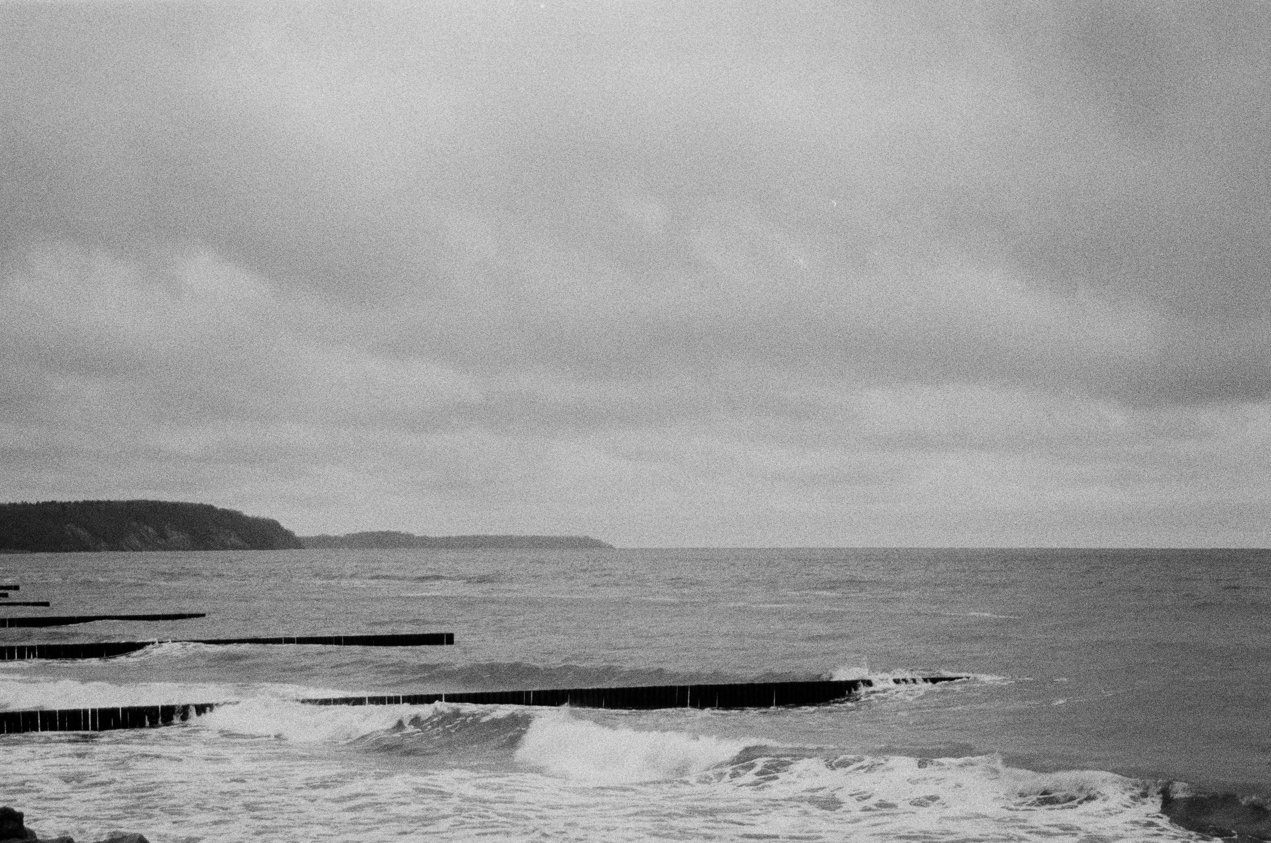 Пленка ЧБ. Фотограф Соня с Земли