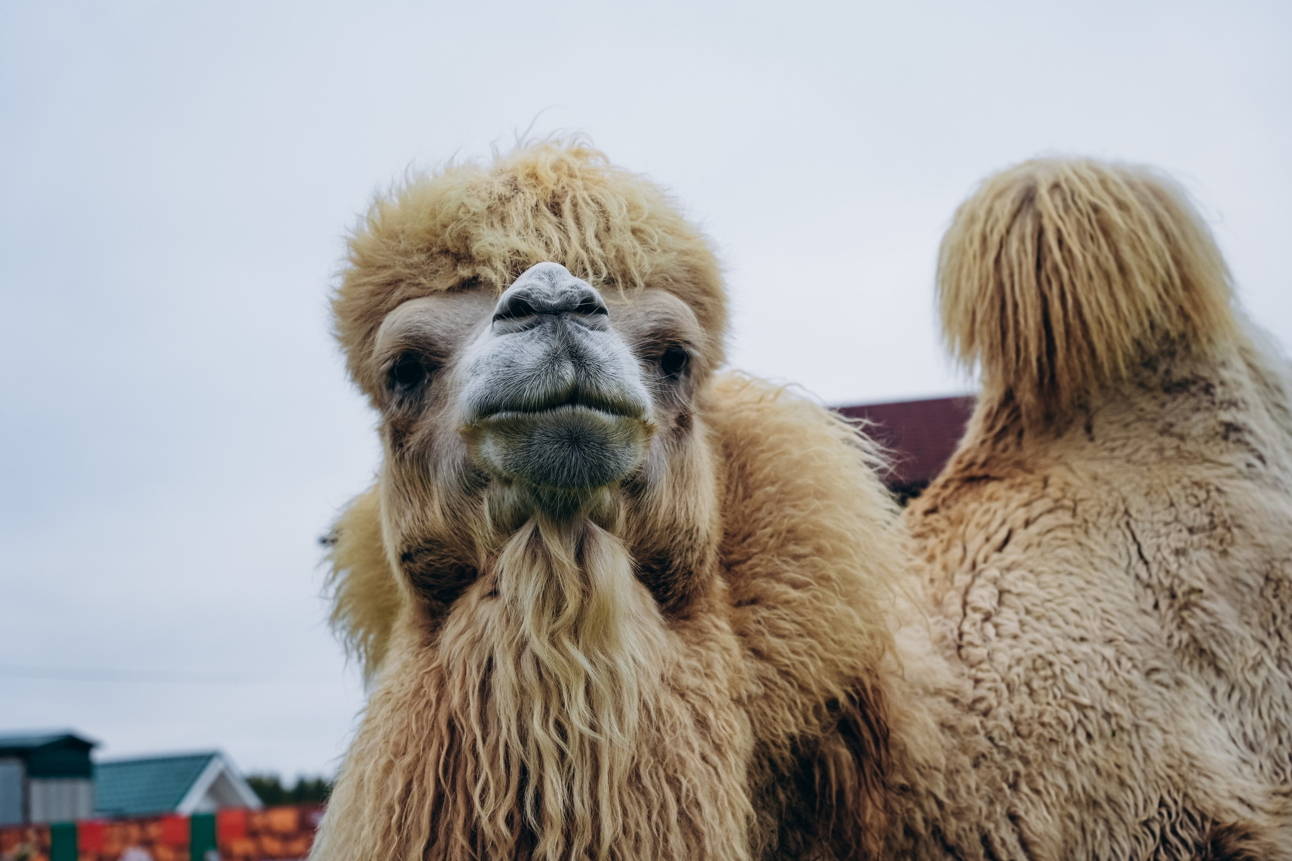 СЕВЕР. Event фотограф Степанова Александра