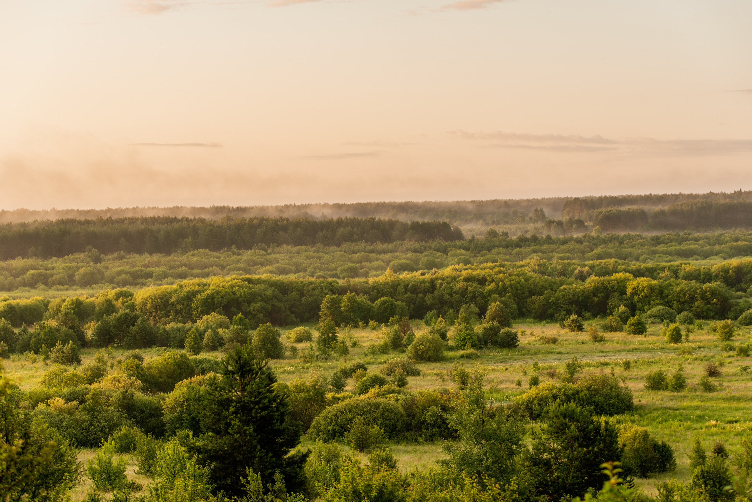 Туманное летнее утро. Фотограф в Ветлуге Сергей Белов (VETLUGA B.S.)