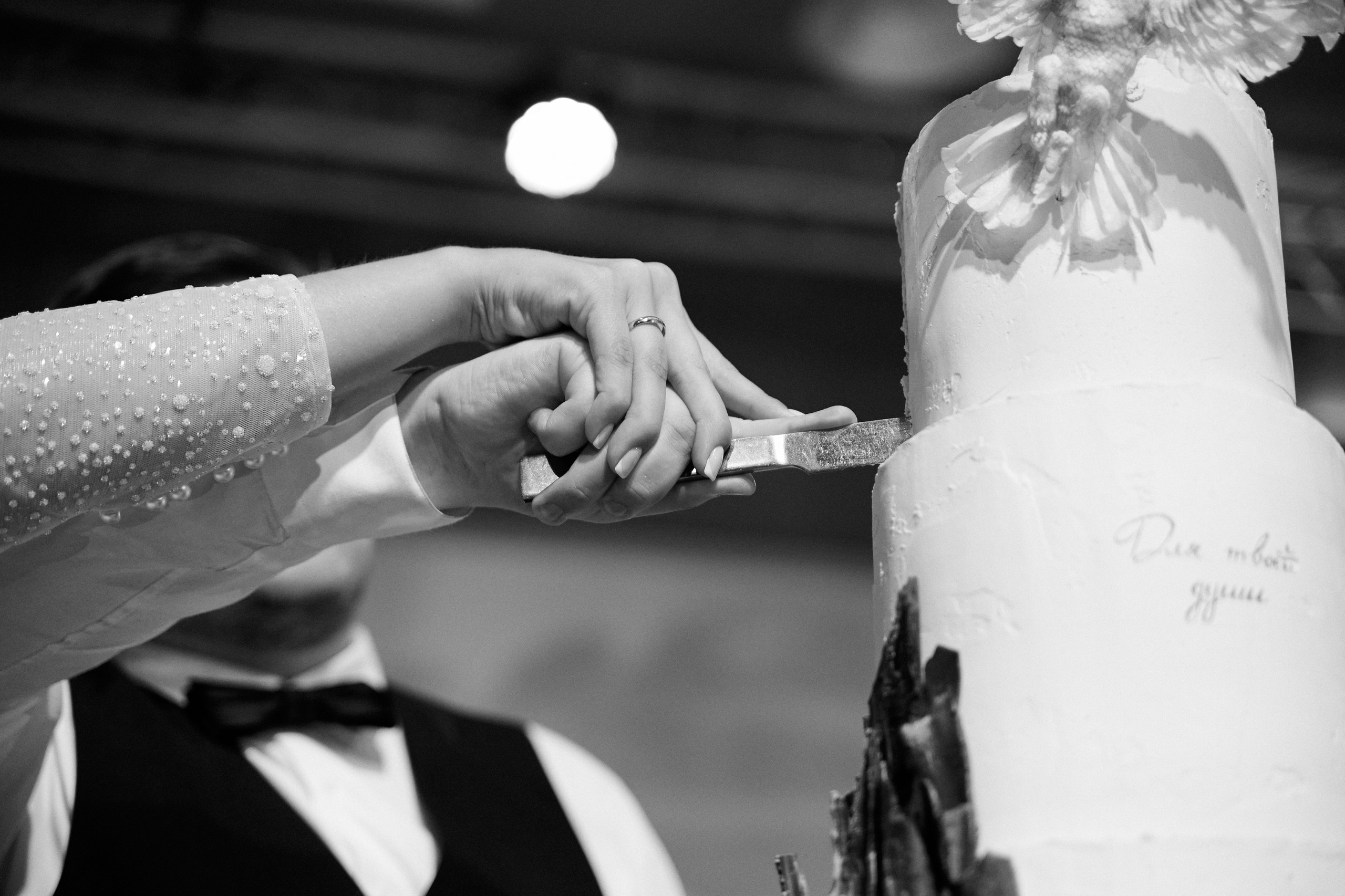 Посмотреть серию. Свадебный и семейный фотограф в Красноярске Тряпчев Павел