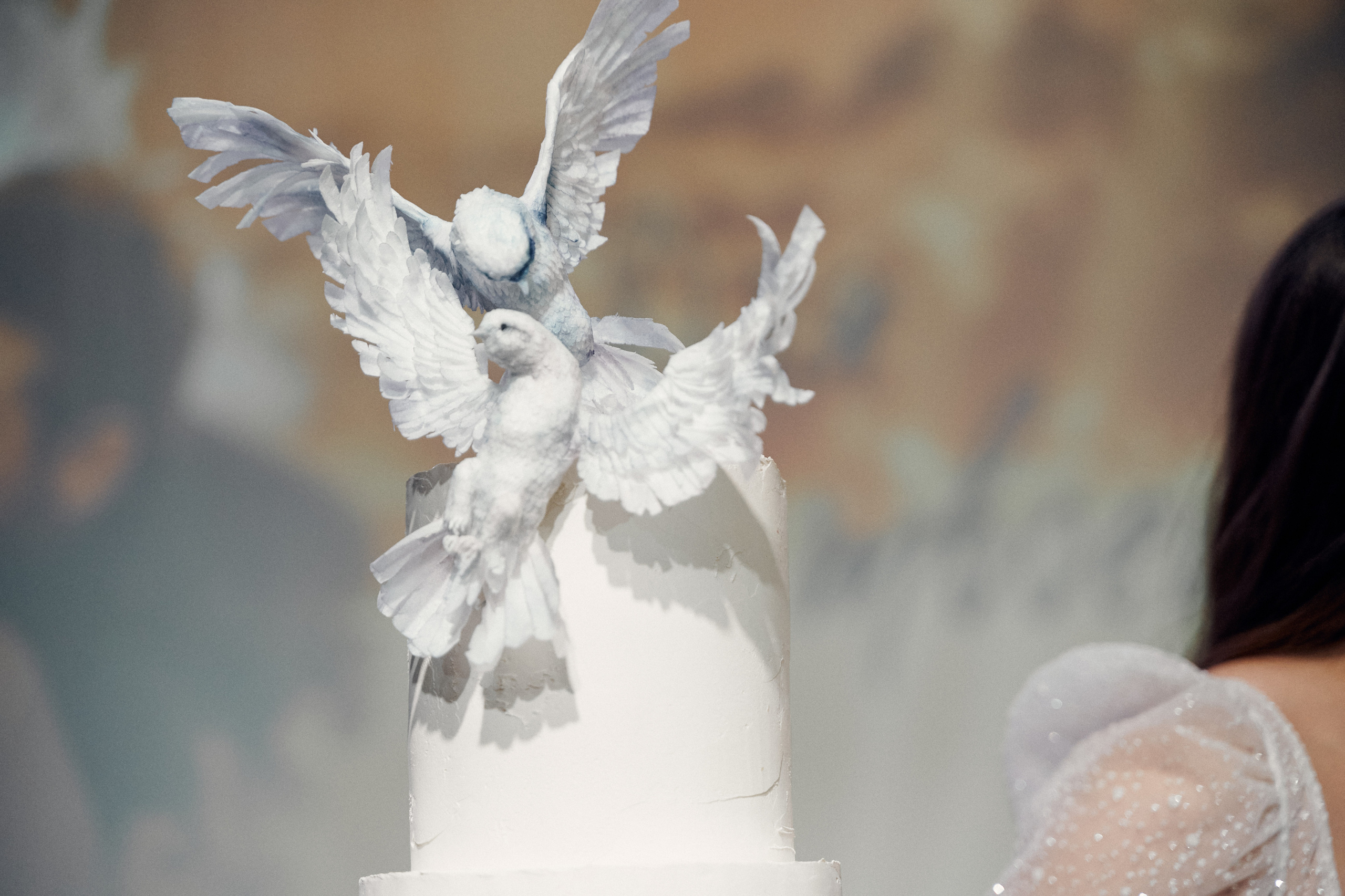 Посмотреть серию. Свадебный и семейный фотограф в Красноярске Тряпчев Павел