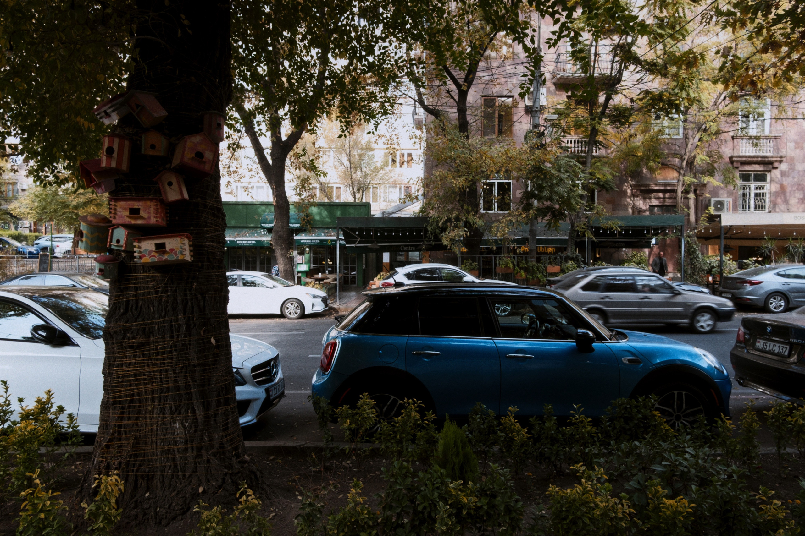 Yerevan / Armenia AW25. Фотограф Юрин Евгений