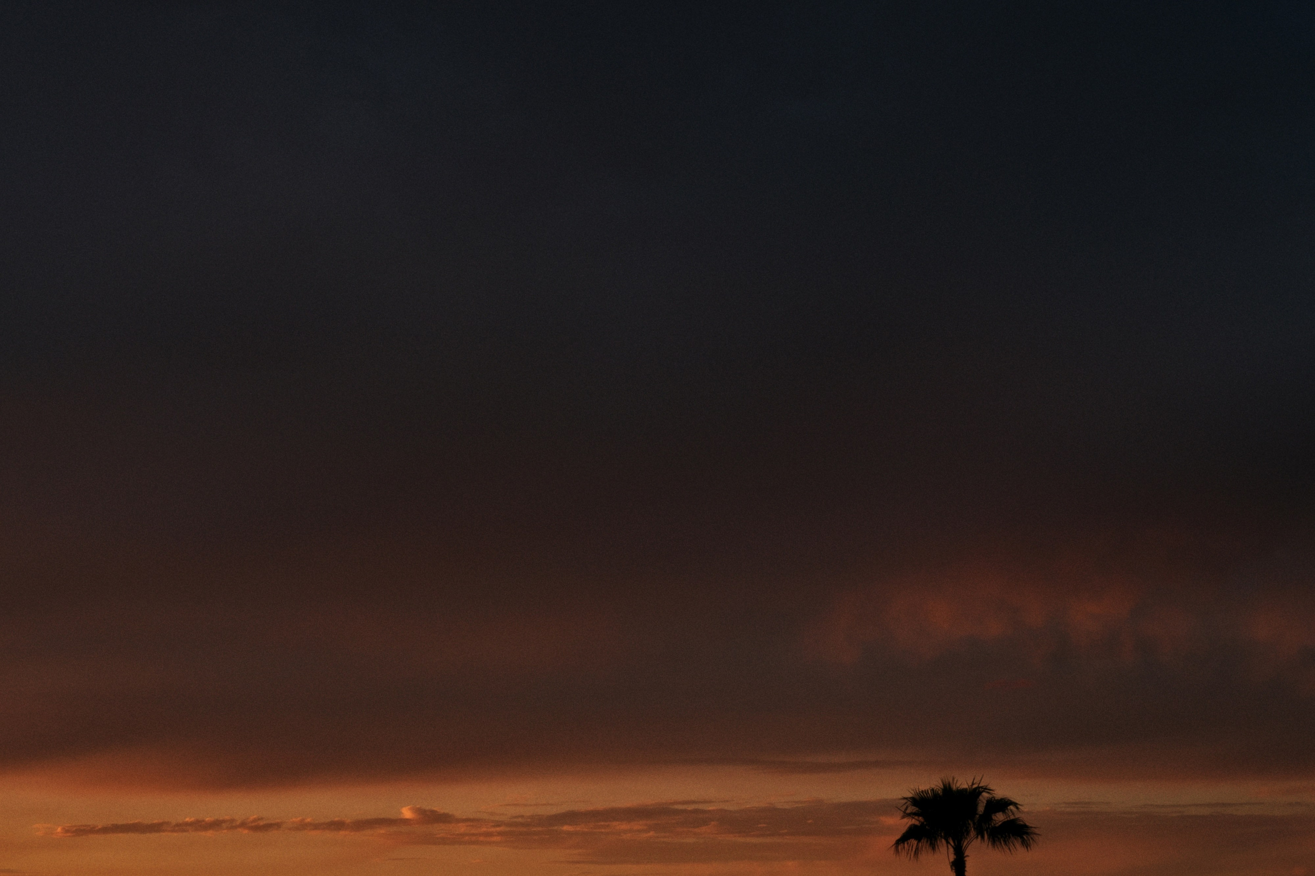 Alexandria / Egypt AW25. Фотограф Юрин Евгений