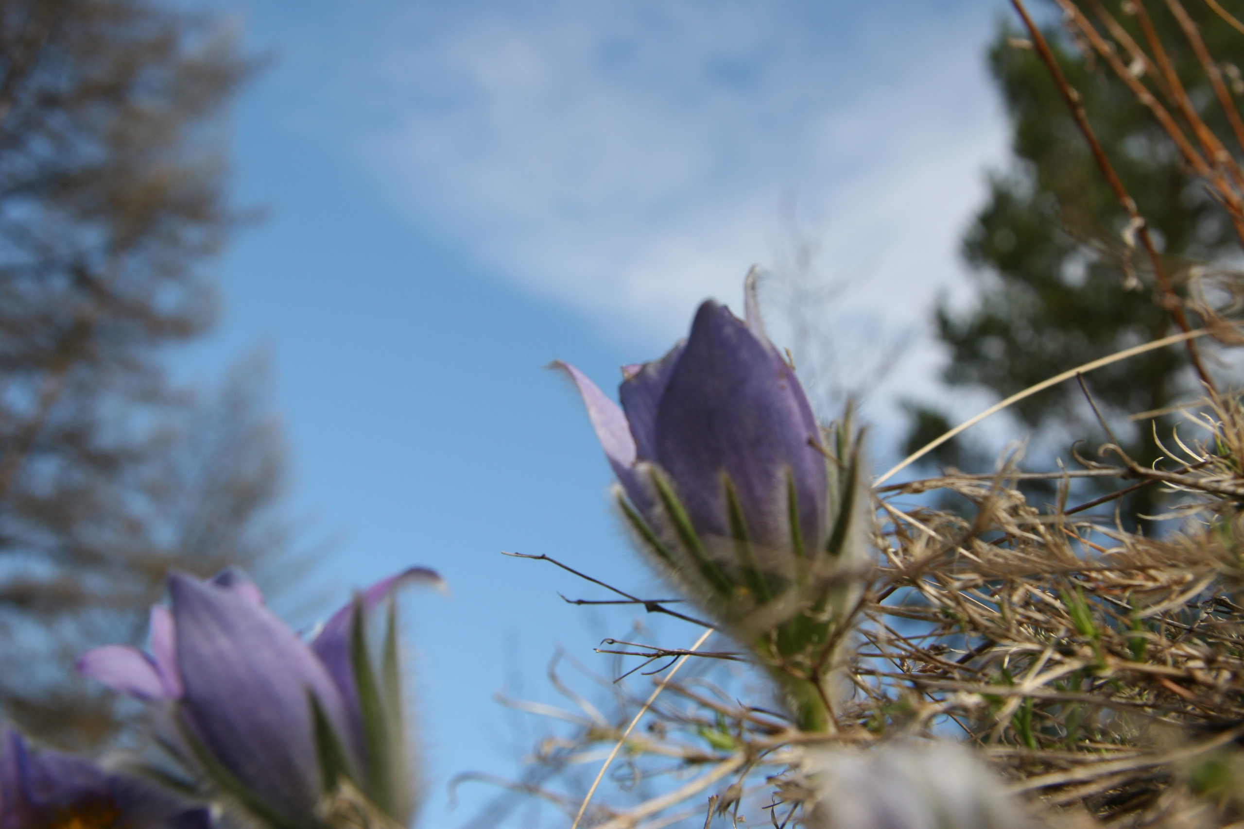 Фото Природы Забайкалья. Студия Максима Белослюдцева