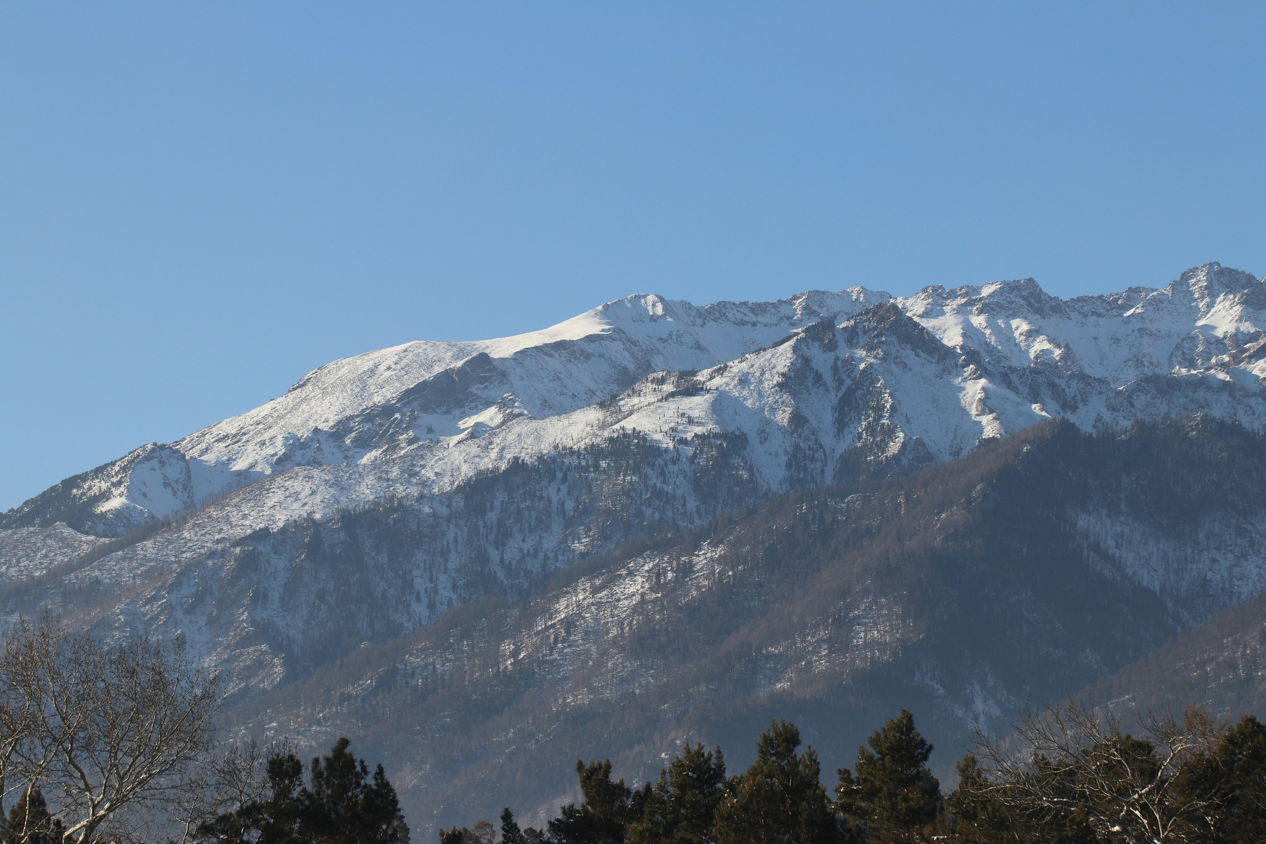 Аршан. Январь 2022. Путешественник-фотограф из Санкт-Петербурга Татьяна Свистулина