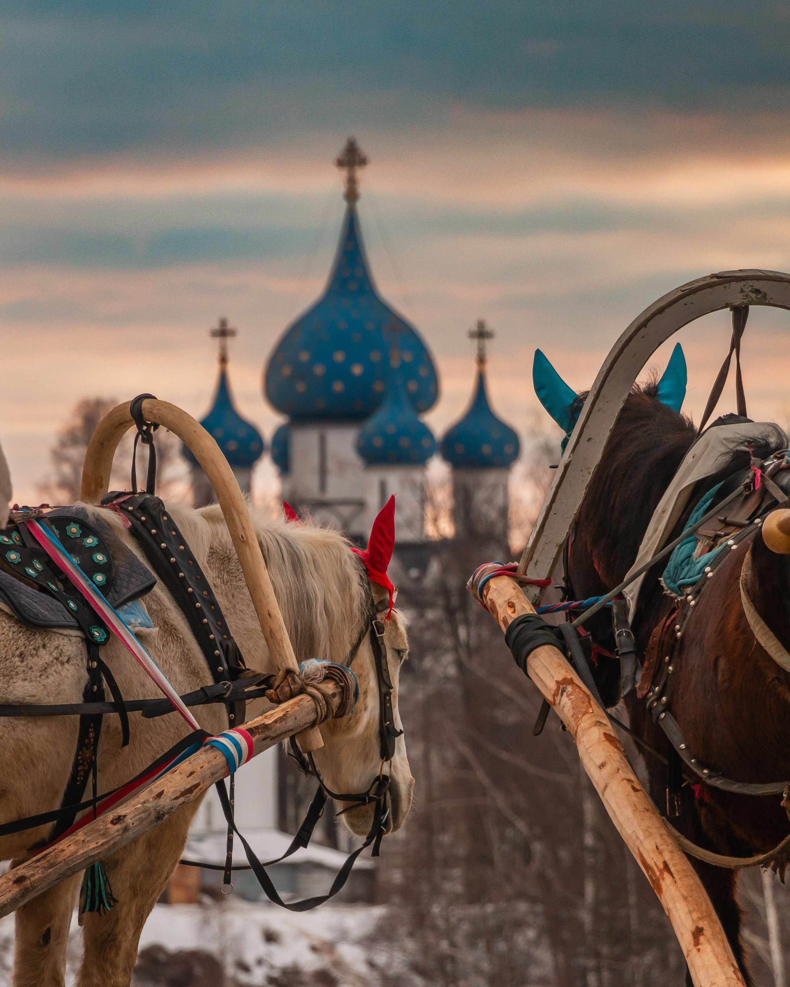 Суздаль. Олег Романов. Мастер фото по спорту