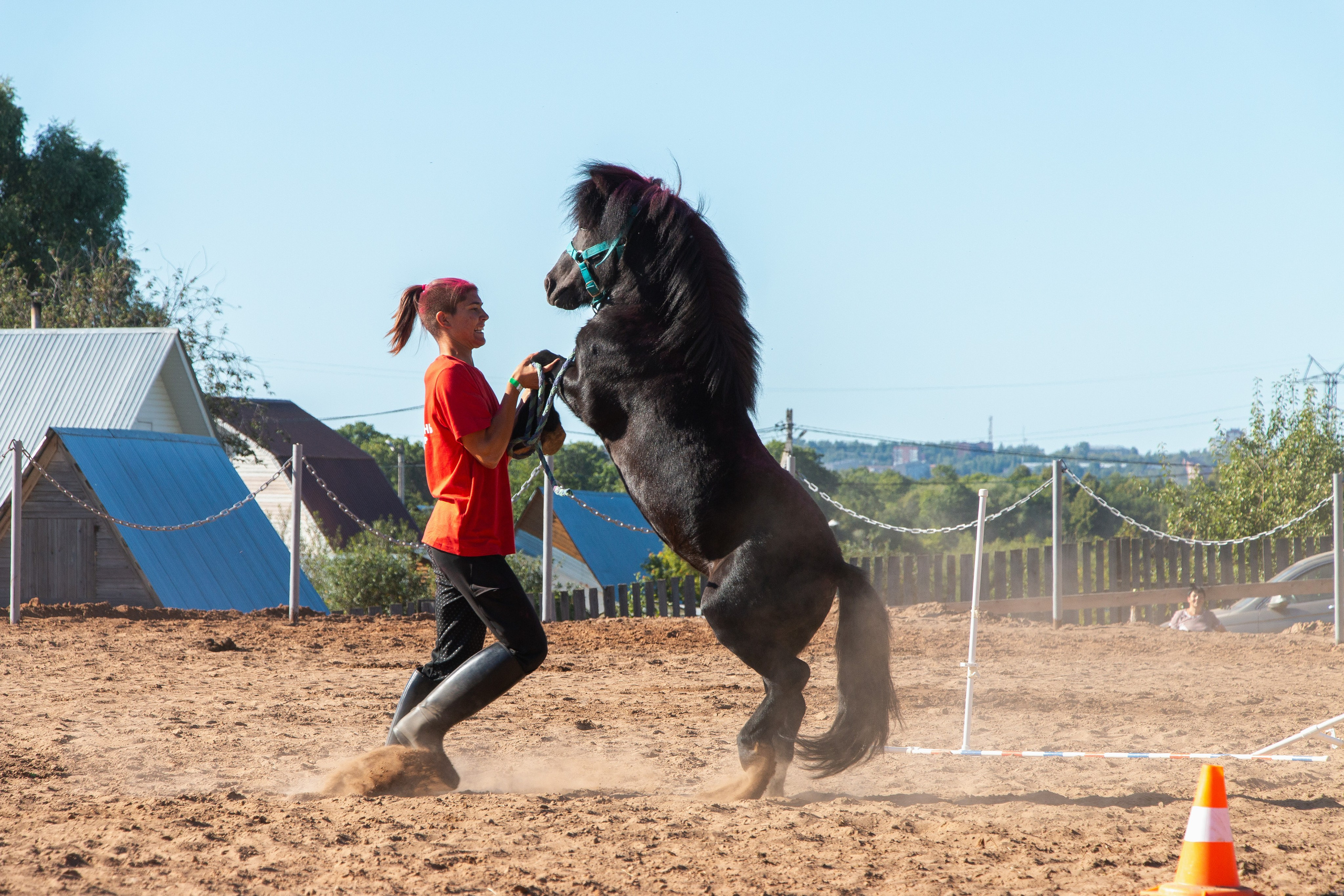 Конь-огонь 2025. Олег Романов. Мастер фото по спорту