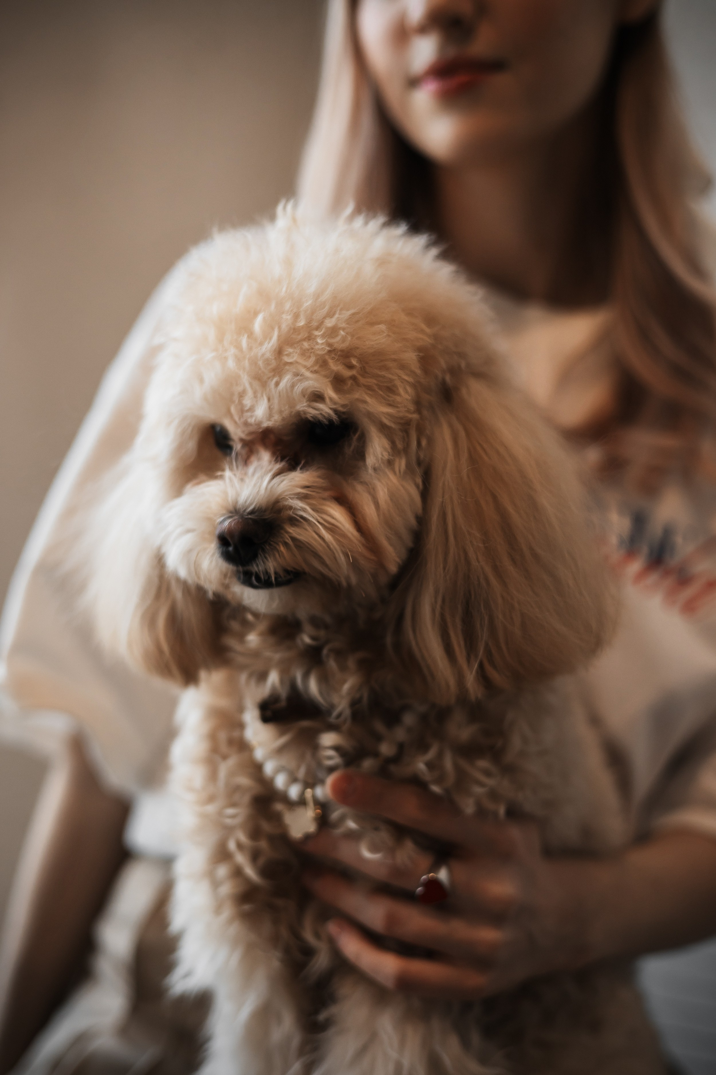 Алина — прогулка