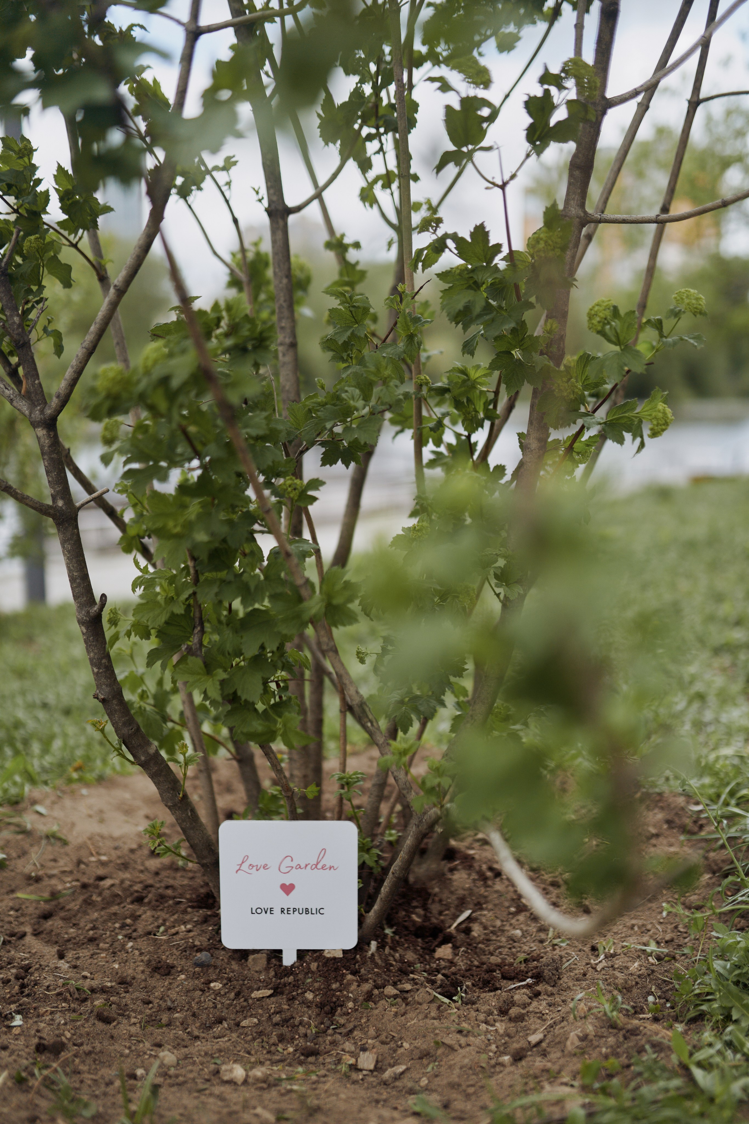 LOVE REPUBLIC — субботник. Евгений Бреча. Коммерческий и бэкстейдж фотограф в Москве