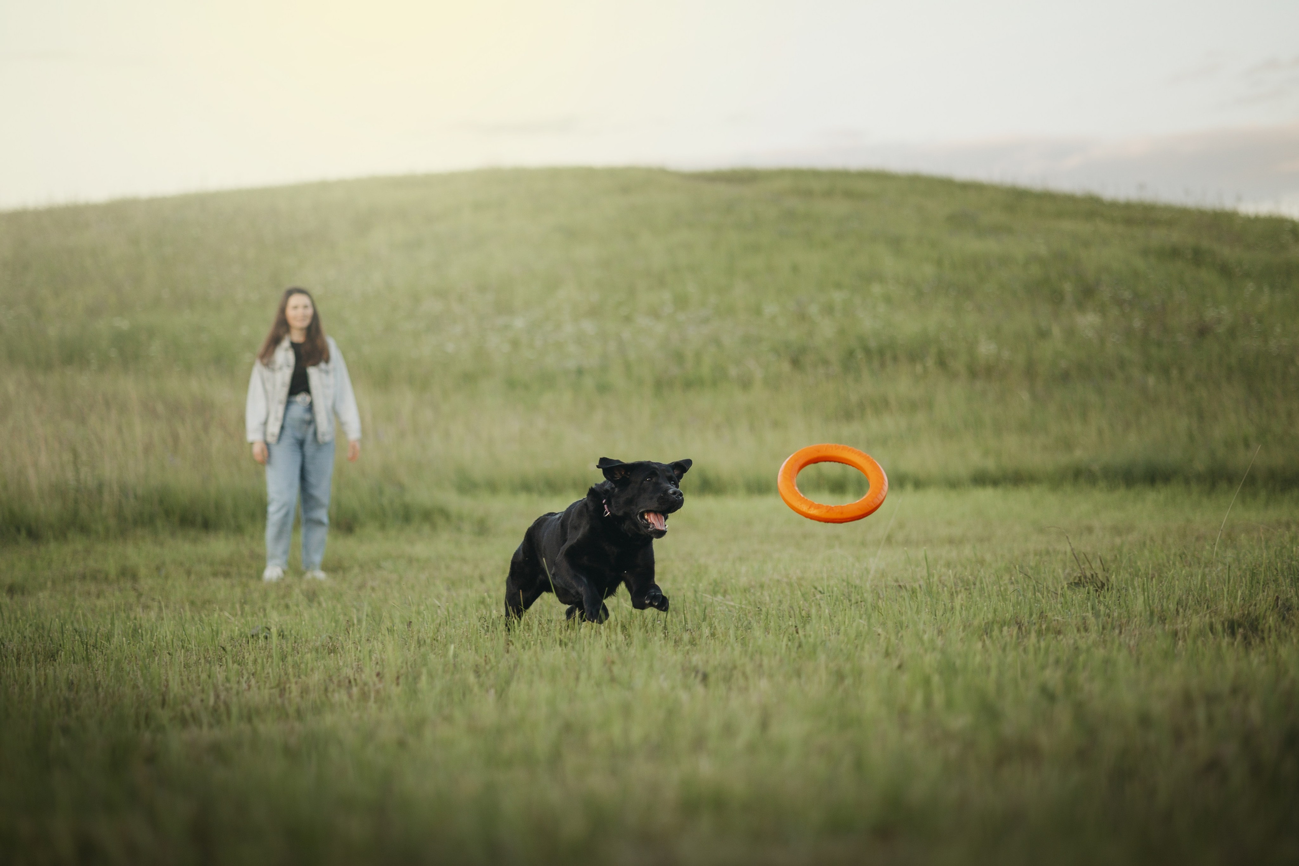 Бомбей и его семья. Фотограф — Анималист | Санкт-Петербург
