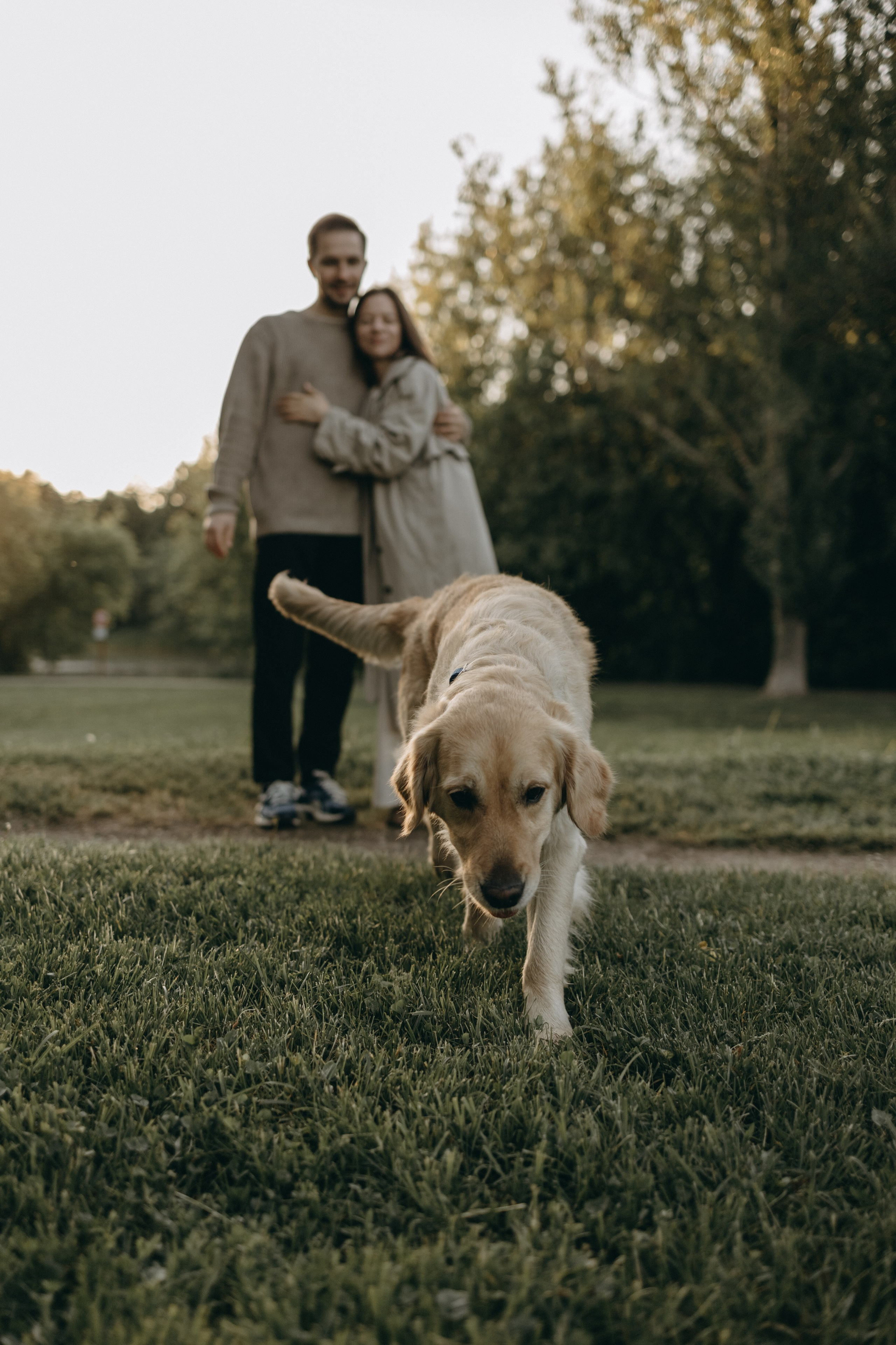 Пенни и ребята. Фотограф — Анималист | Санкт-Петербург