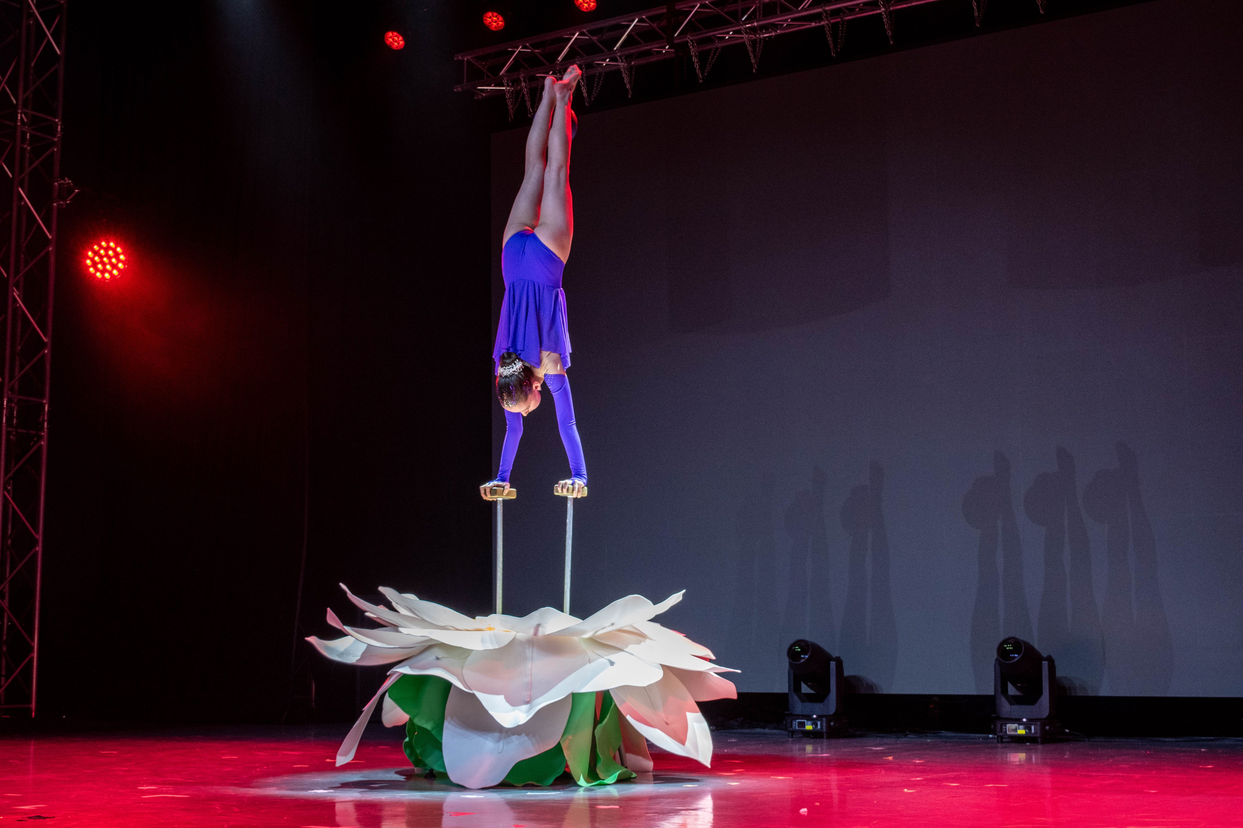 «ВЫСОТА» 2025. Репортажный фотограф во Владивостоке Анастасия Кострова