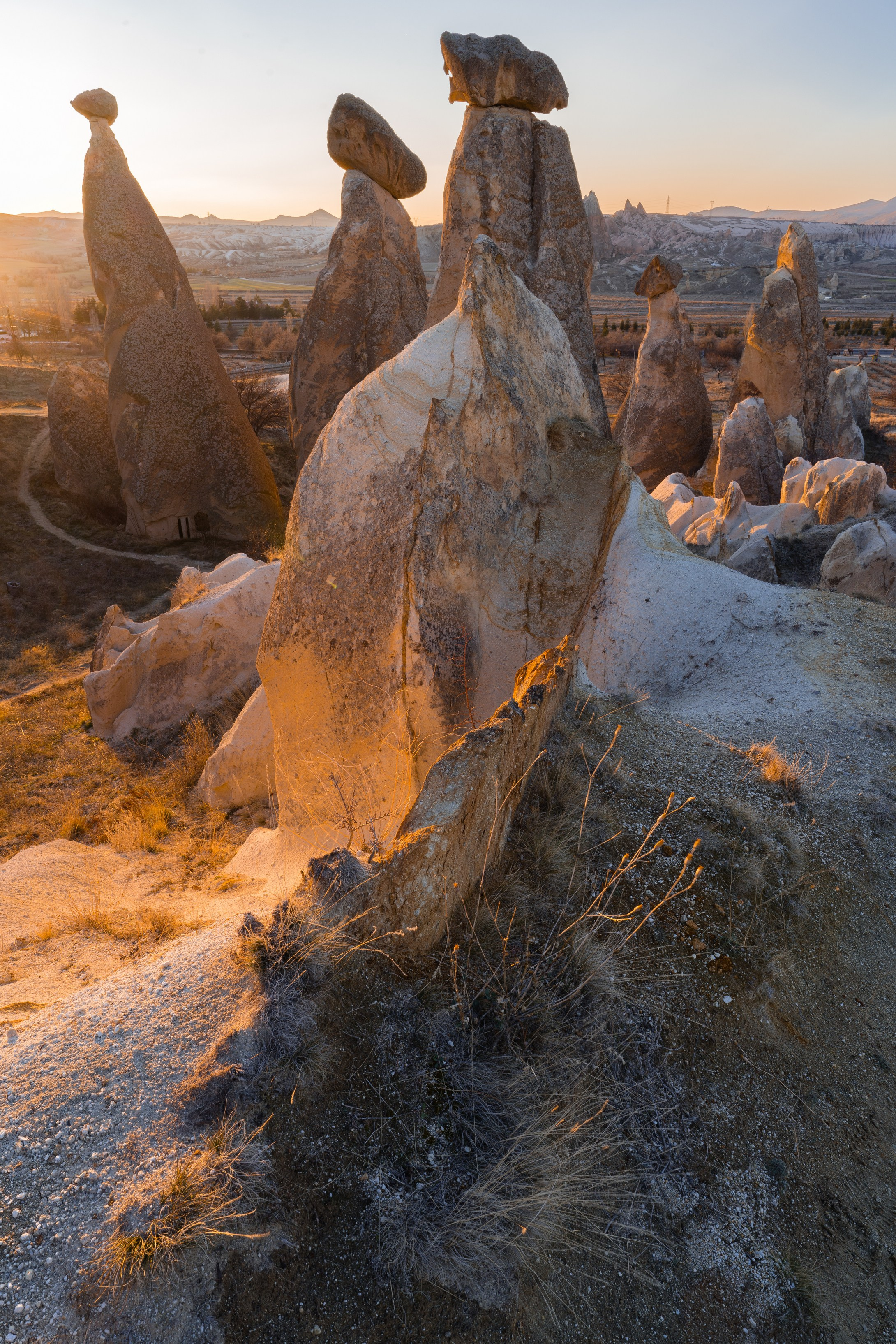 Фотографии Дмитрия Захаренко