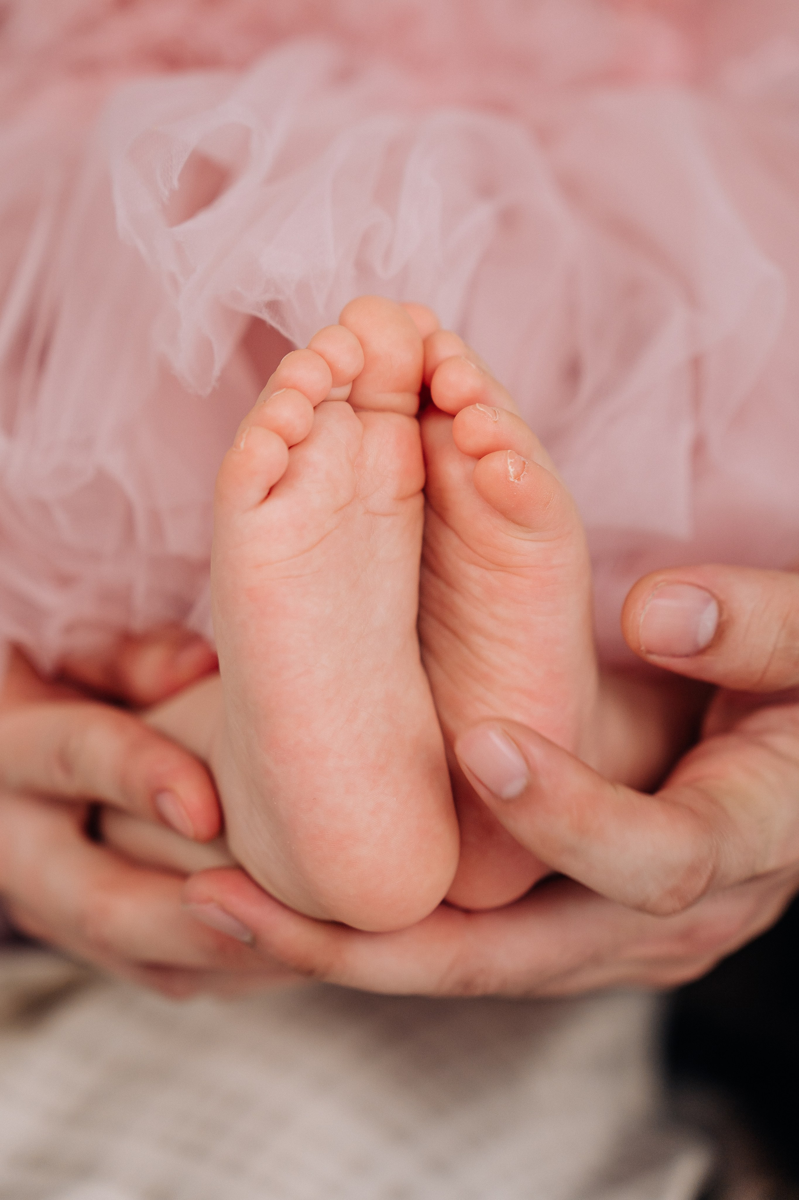 Лента фото. «Лама» Детская фотостудия Уфа