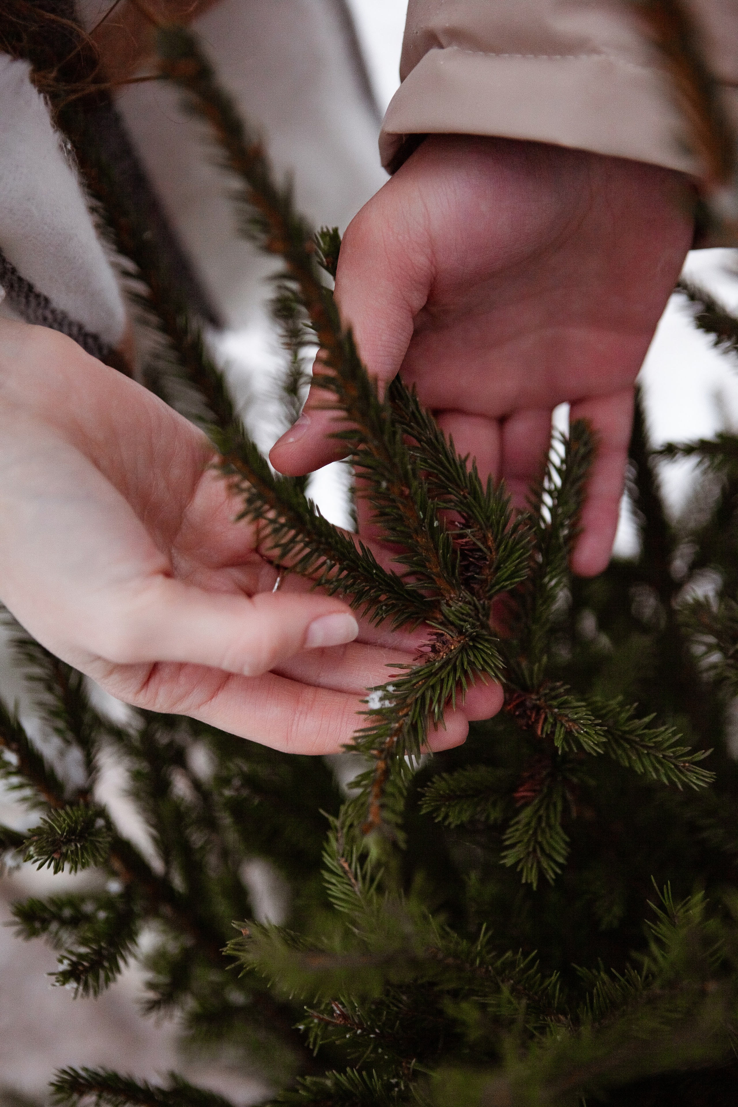 Новая Голландия. Свадебный фотограф в СПБ | Санкт-Петербурге Анастасия Рахимгулова