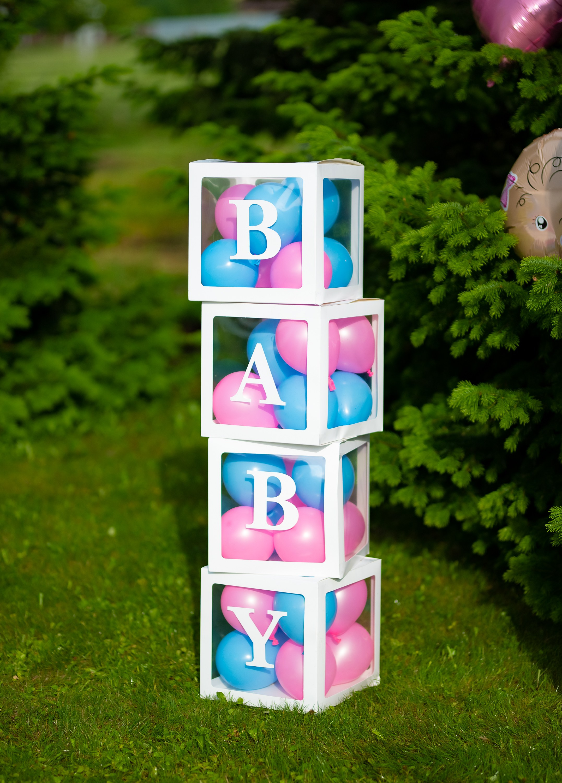 Гендер-пати. ProfotoNK