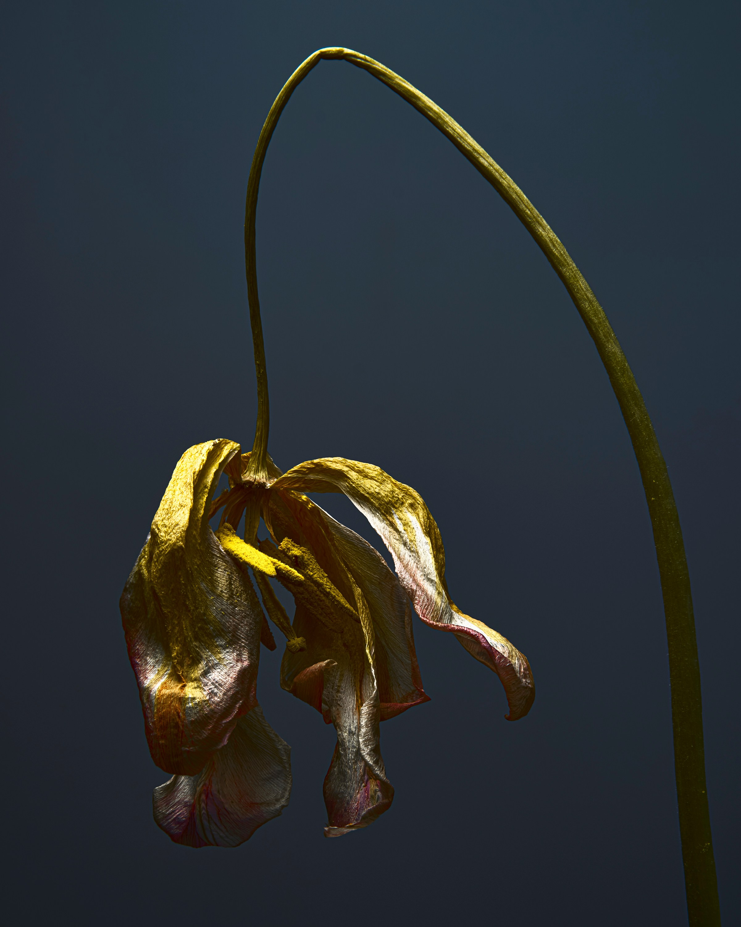Personal. Vladimir Kochetkov — Photographer, Art Director, AI Creator