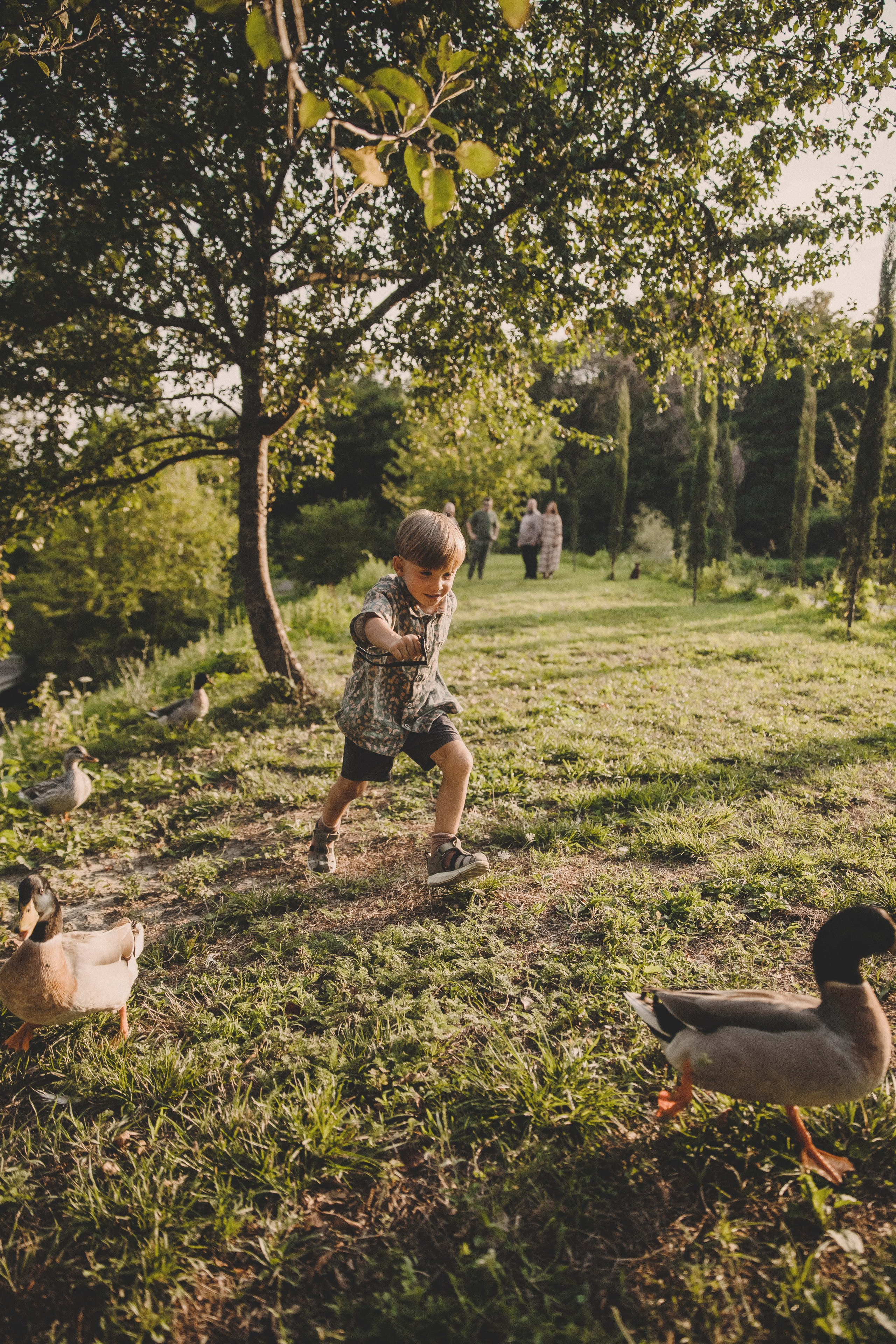 Семья Татьяны. Свадебный и семейный фотограф Колоскова Мария (Сочи и весь мир)