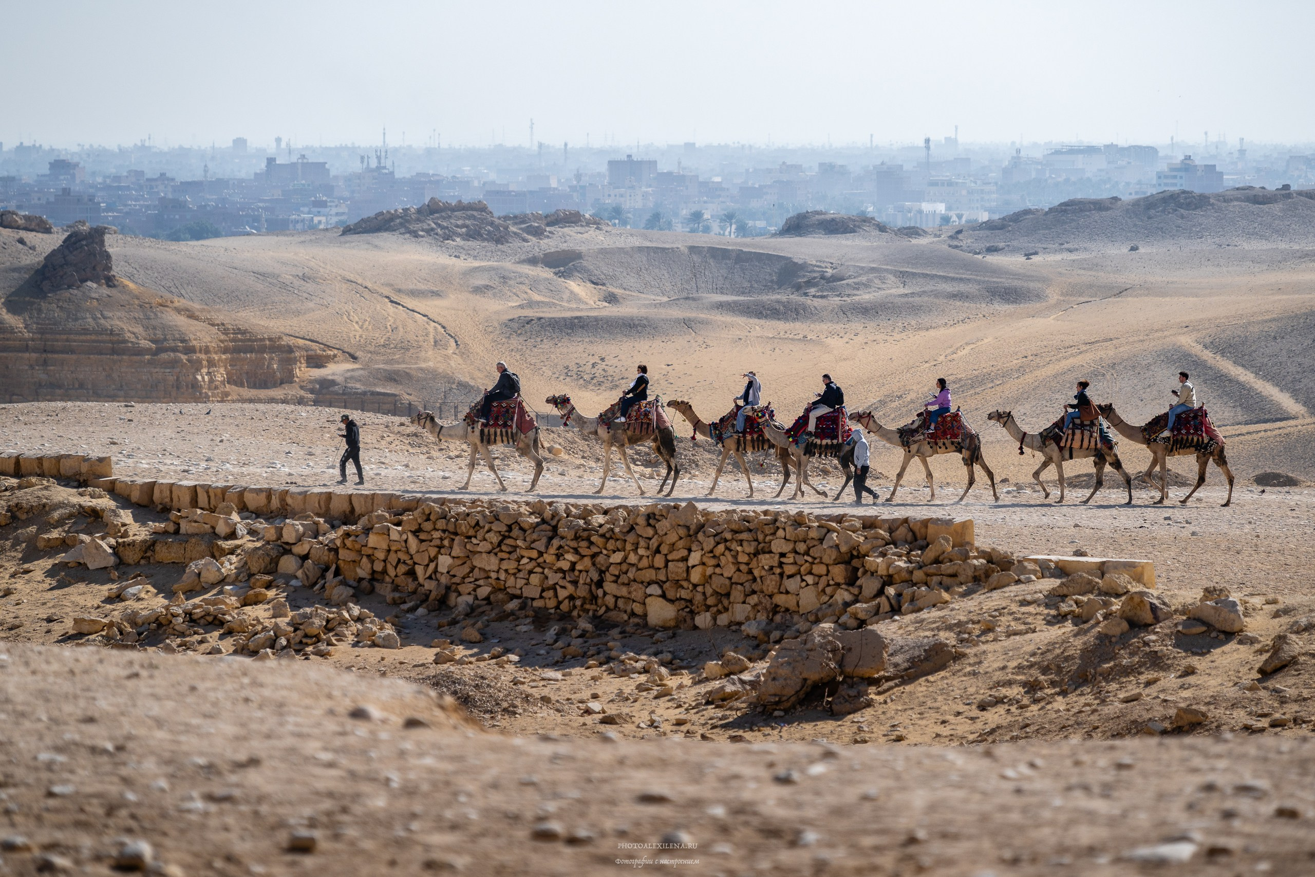 туристы на верблюдах
