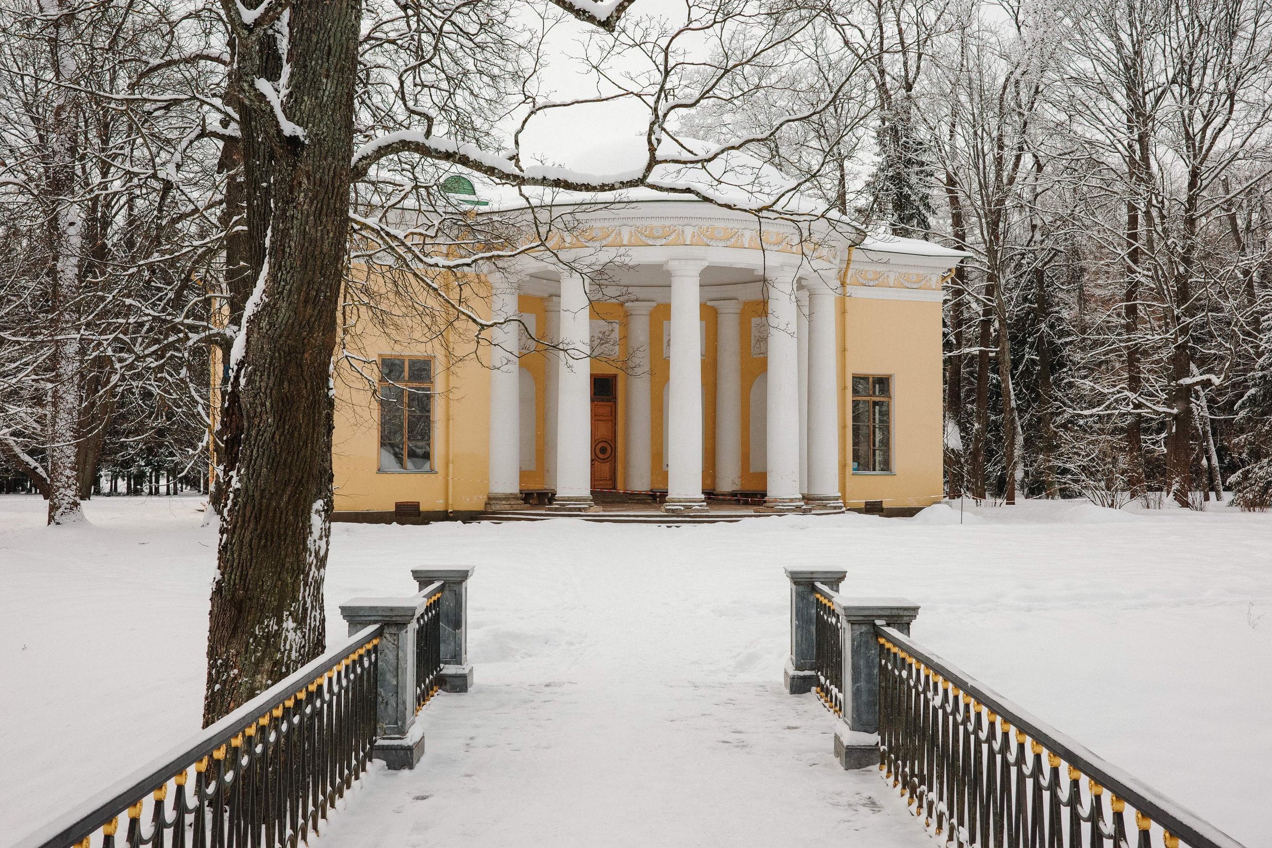 2025.02. Фотограф Алексей Алексеев