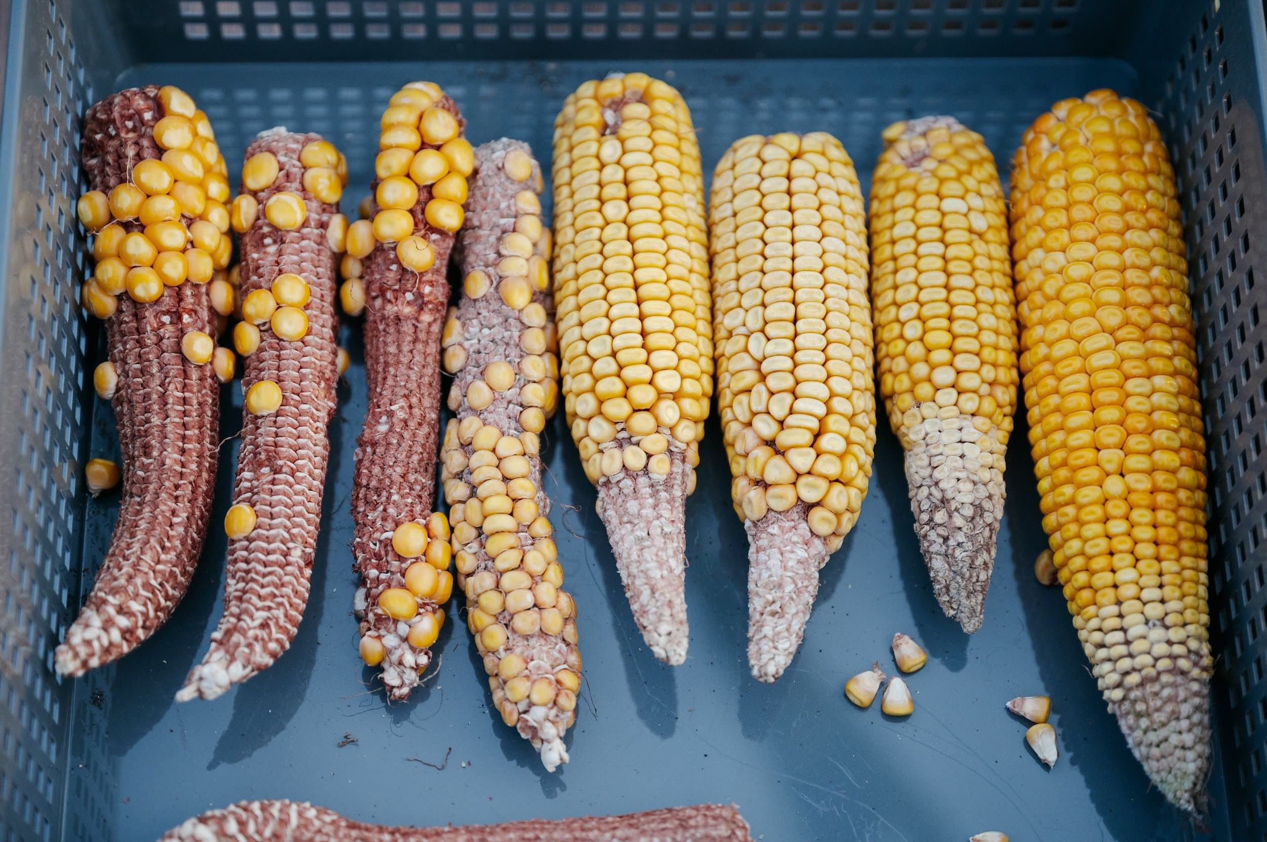 LIDEA. Владимир Дьяконов — Индустриальный и репортажной фотограф в России