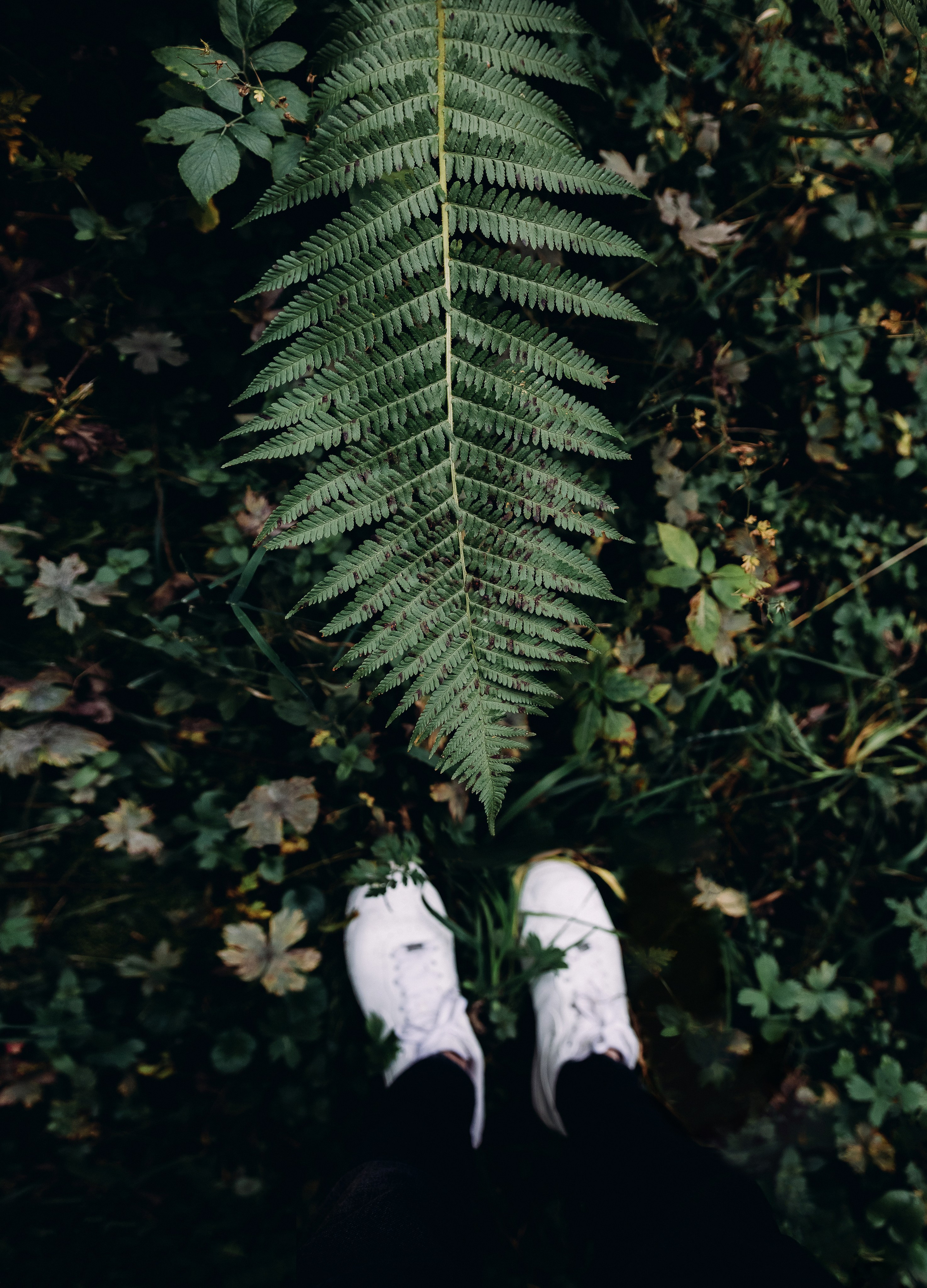 Жизнь. Фотограф Алматы | Весь мир — Никита Колодин