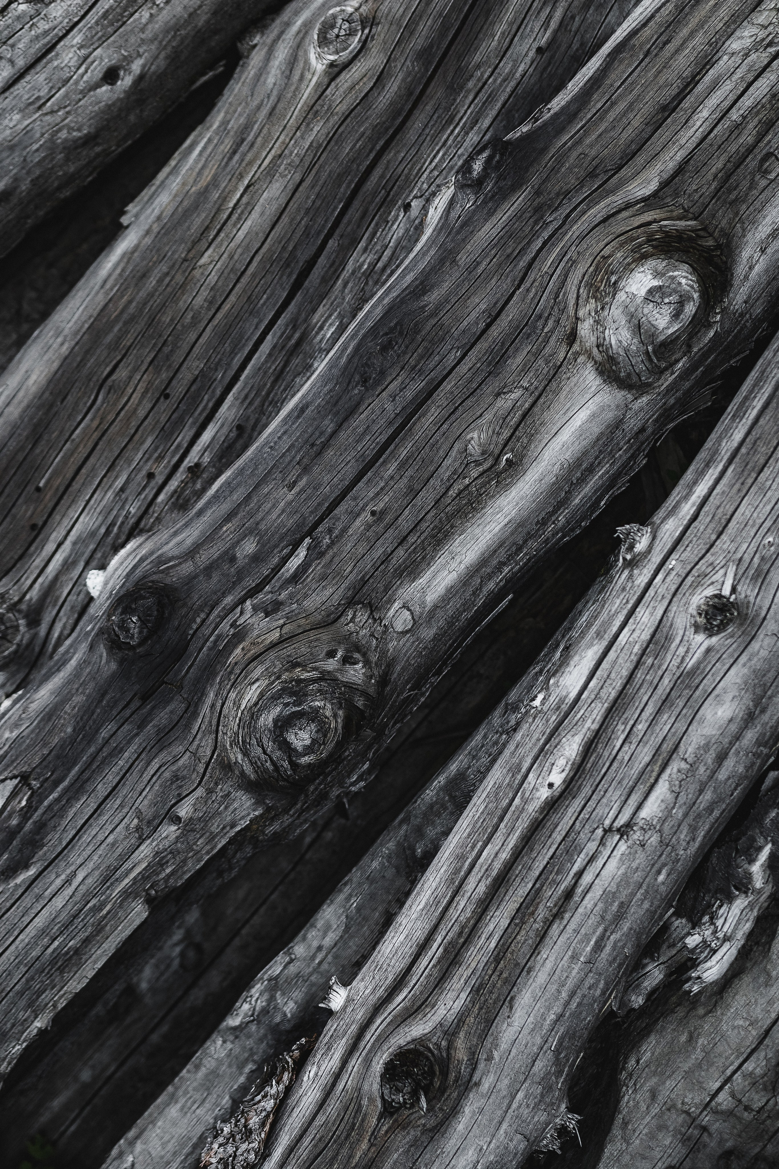 Жизнь. Фотограф Алматы | Весь мир — Никита Колодин