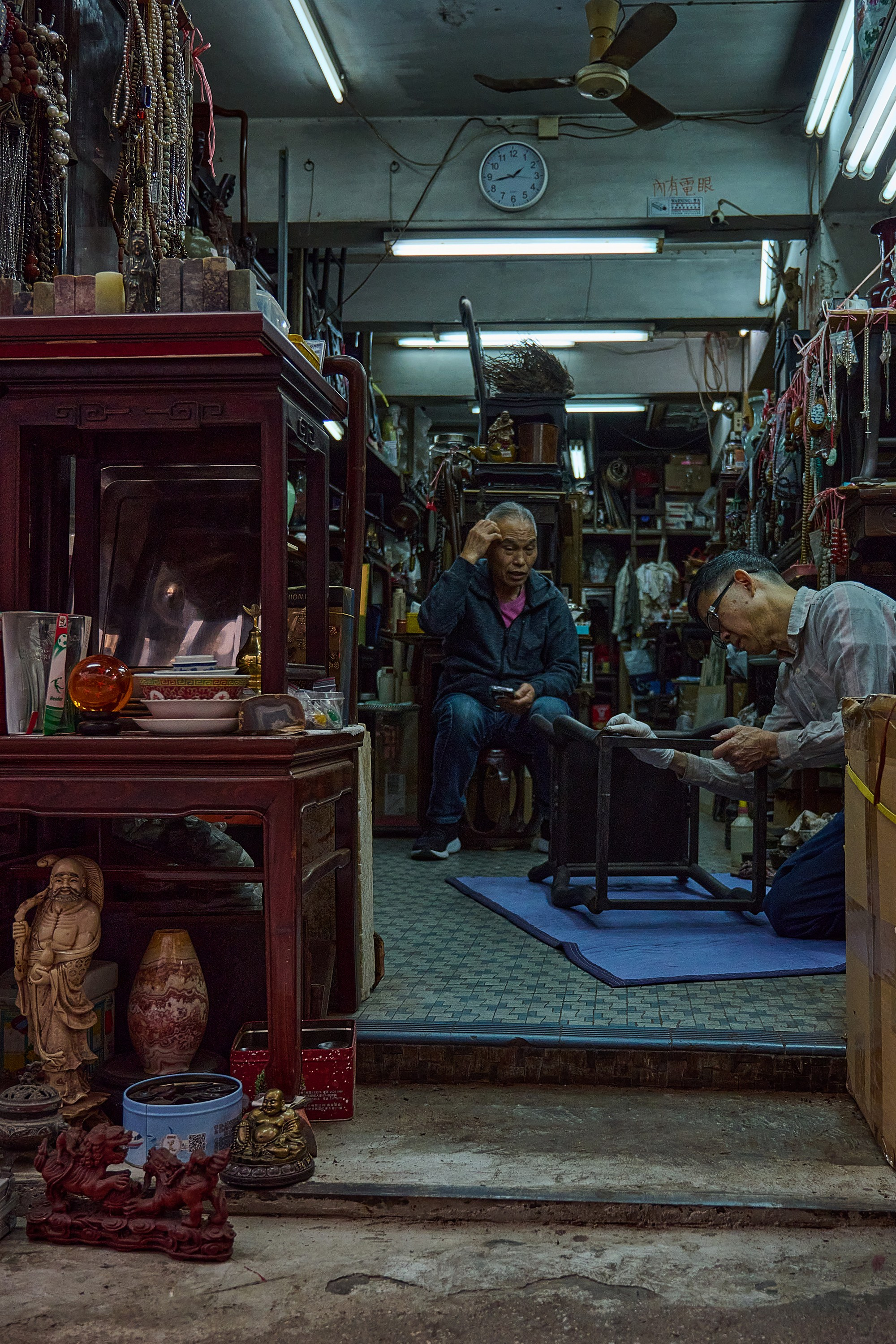 Жизнь, люди, стрит, вокруг, животные, на улице. Яркие фото на Чёрном море