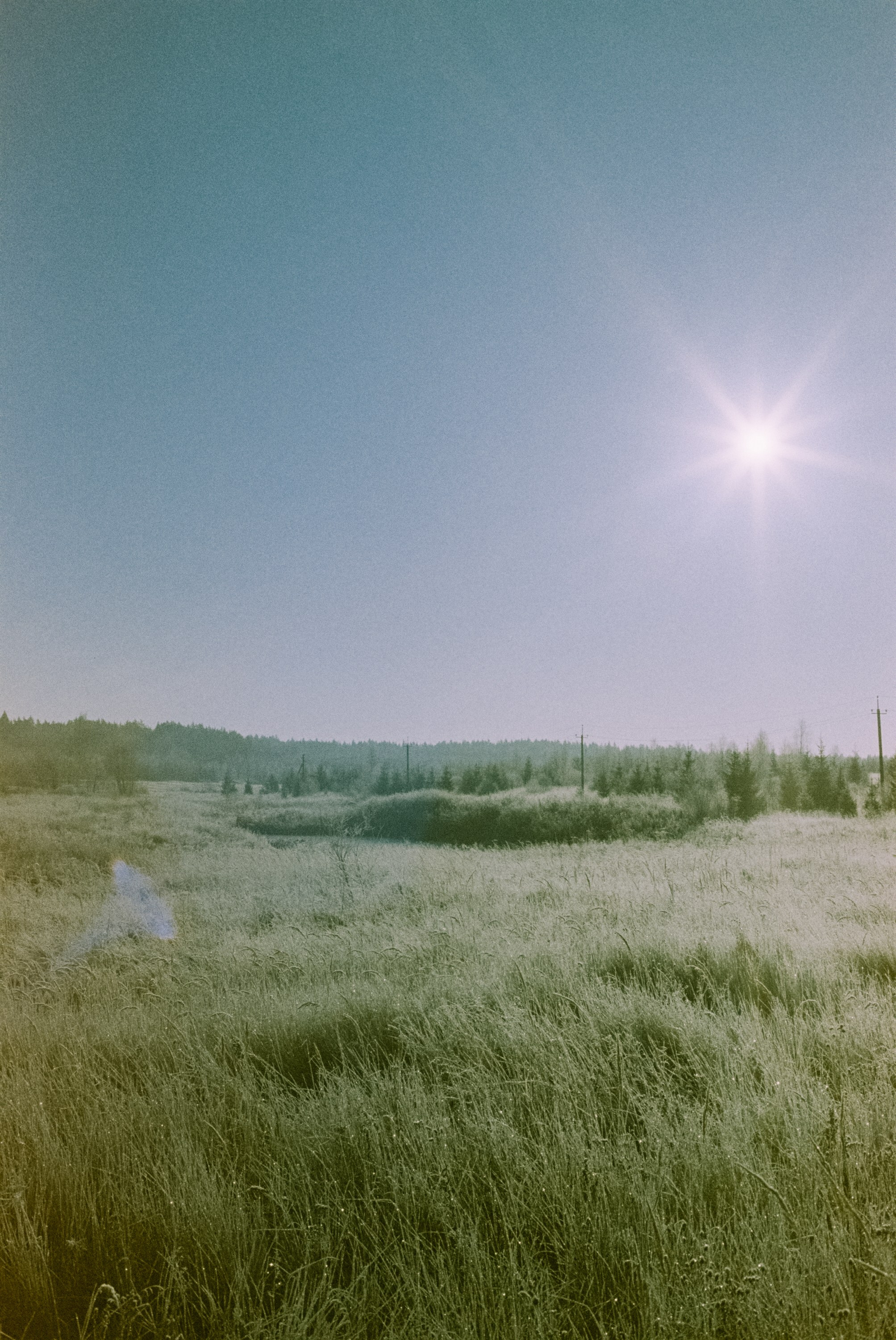 Minolta Hi-Matic 7sII / Kodak Color 200 (просрочка) / Лукино