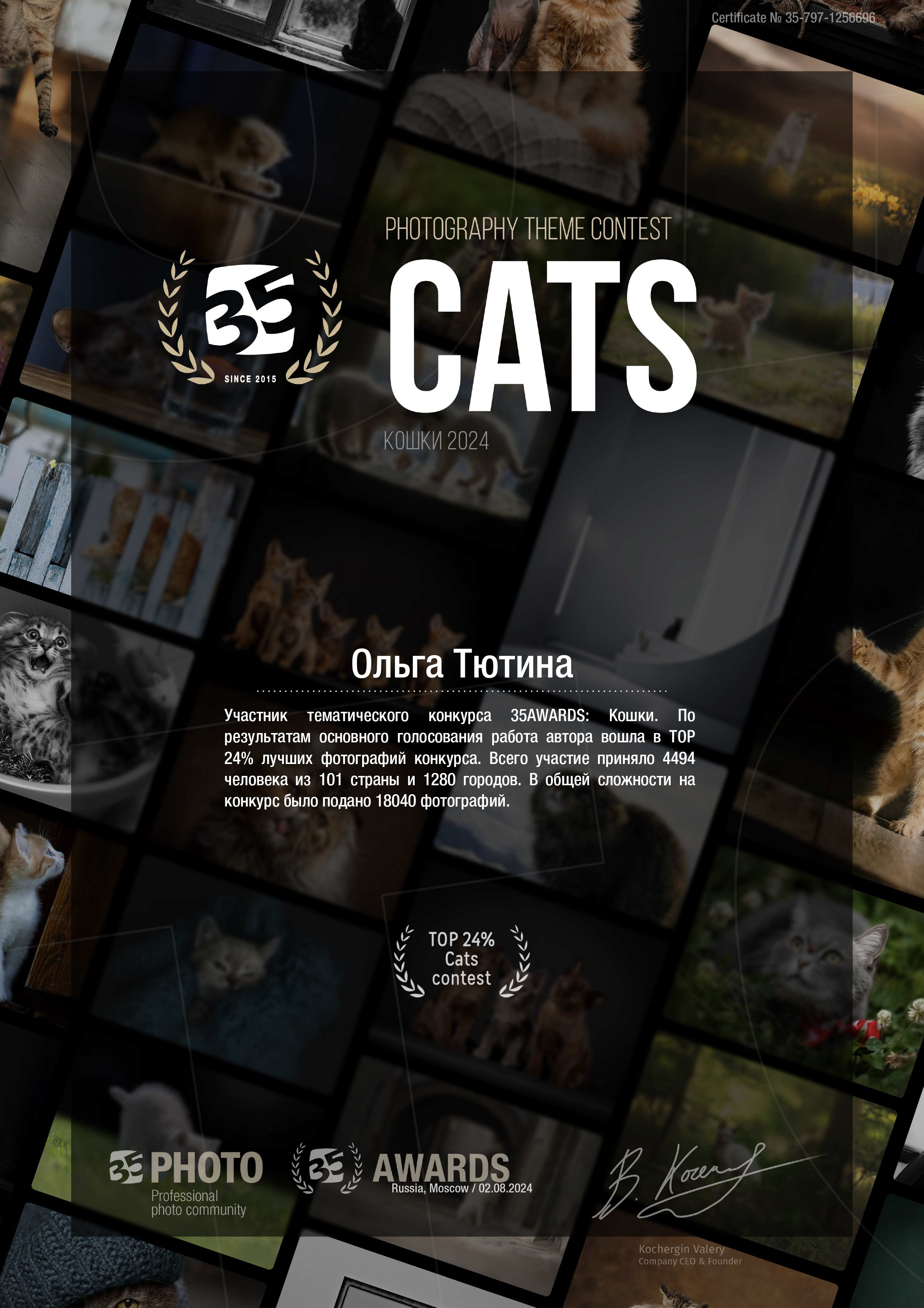 Публикации в журналах, дипломы, сертификаты, награды. Тютина Оля фотограф-ретушер Екатеринбург