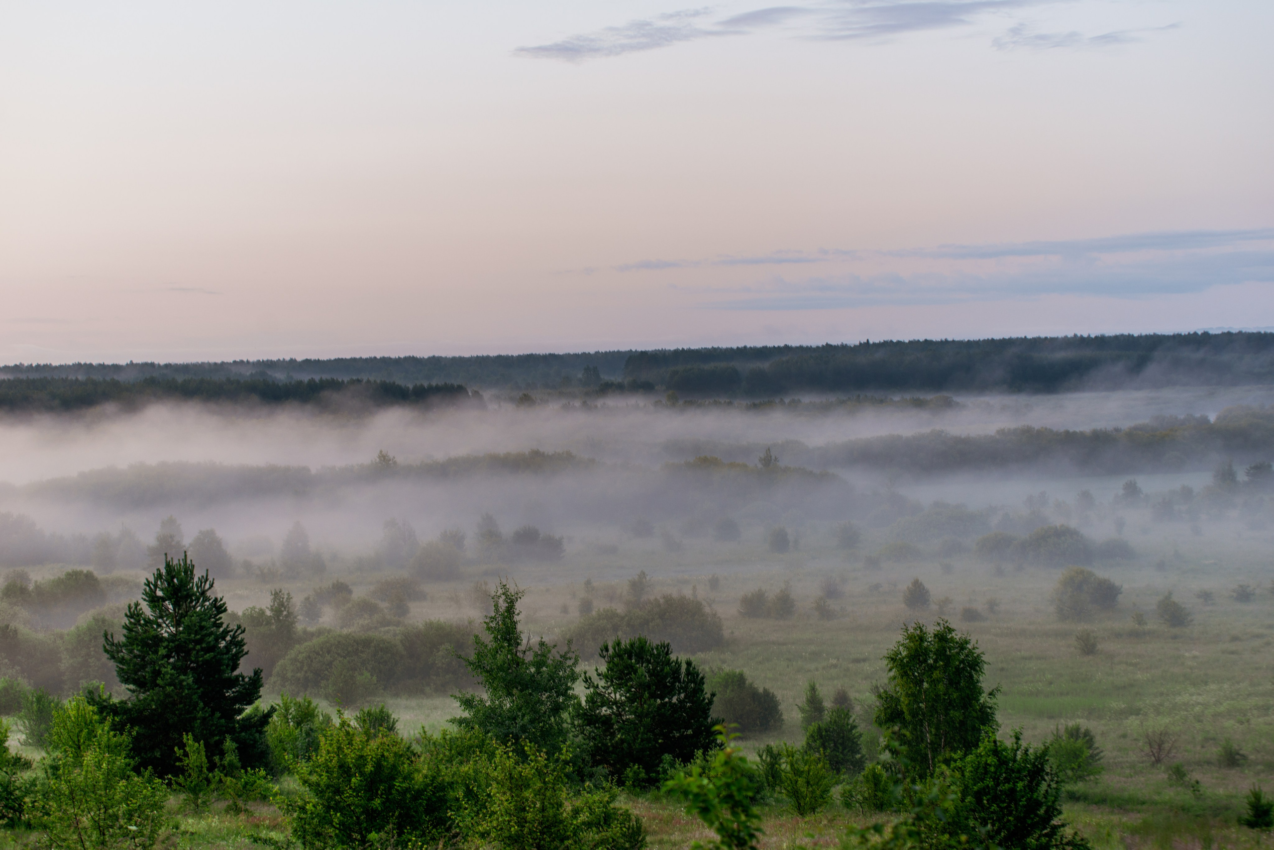 Туманное летнее утро. Фотограф в Ветлуге Сергей Белов (VETLUGA B.S.)