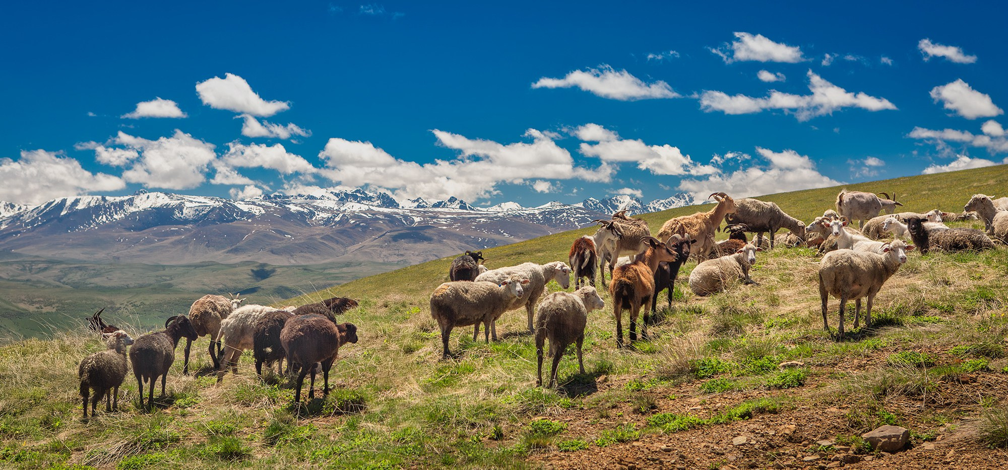 Северный Кавказ, Россия. Фотограф Владимир Остапенко