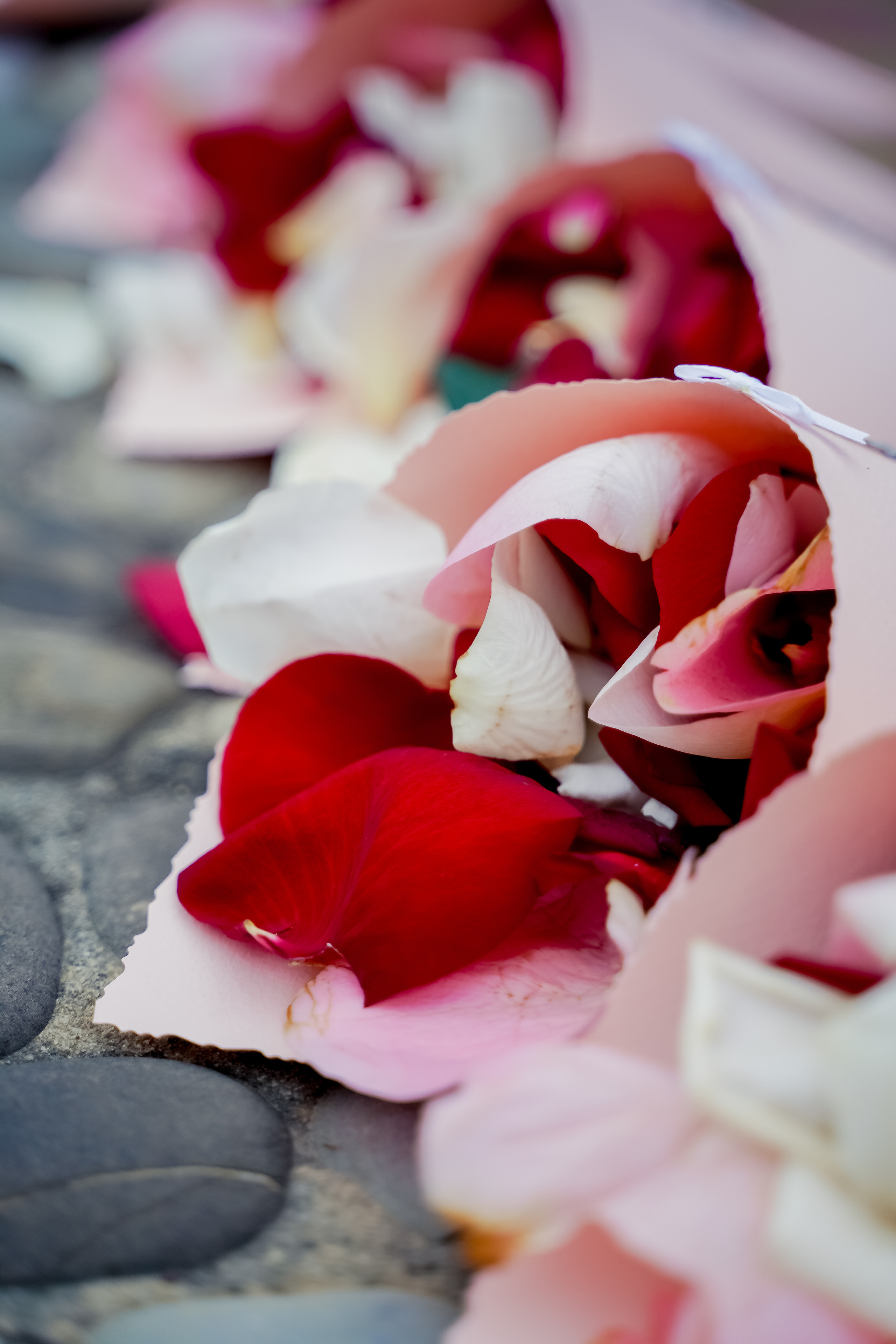 Александр и Виктория. Свадебный фотограф город Сочи Красная Поляна Адлер