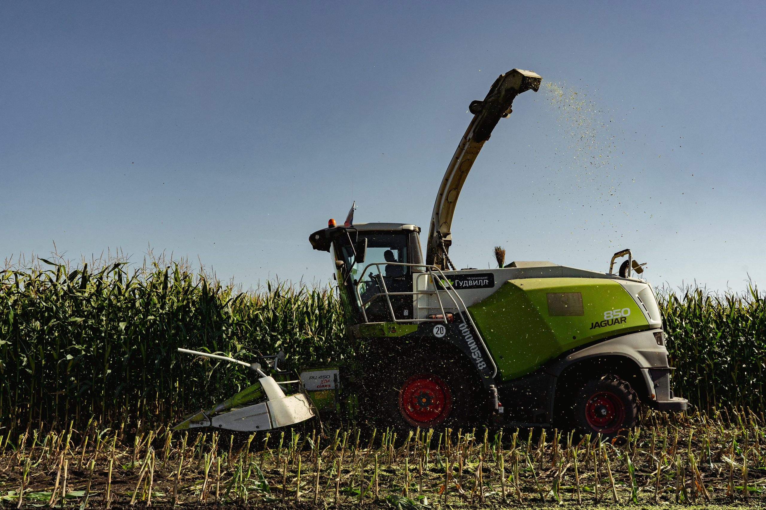 Коммерция. Портретный и событийный фотограф в Барнауле, Москве, Новосибирске