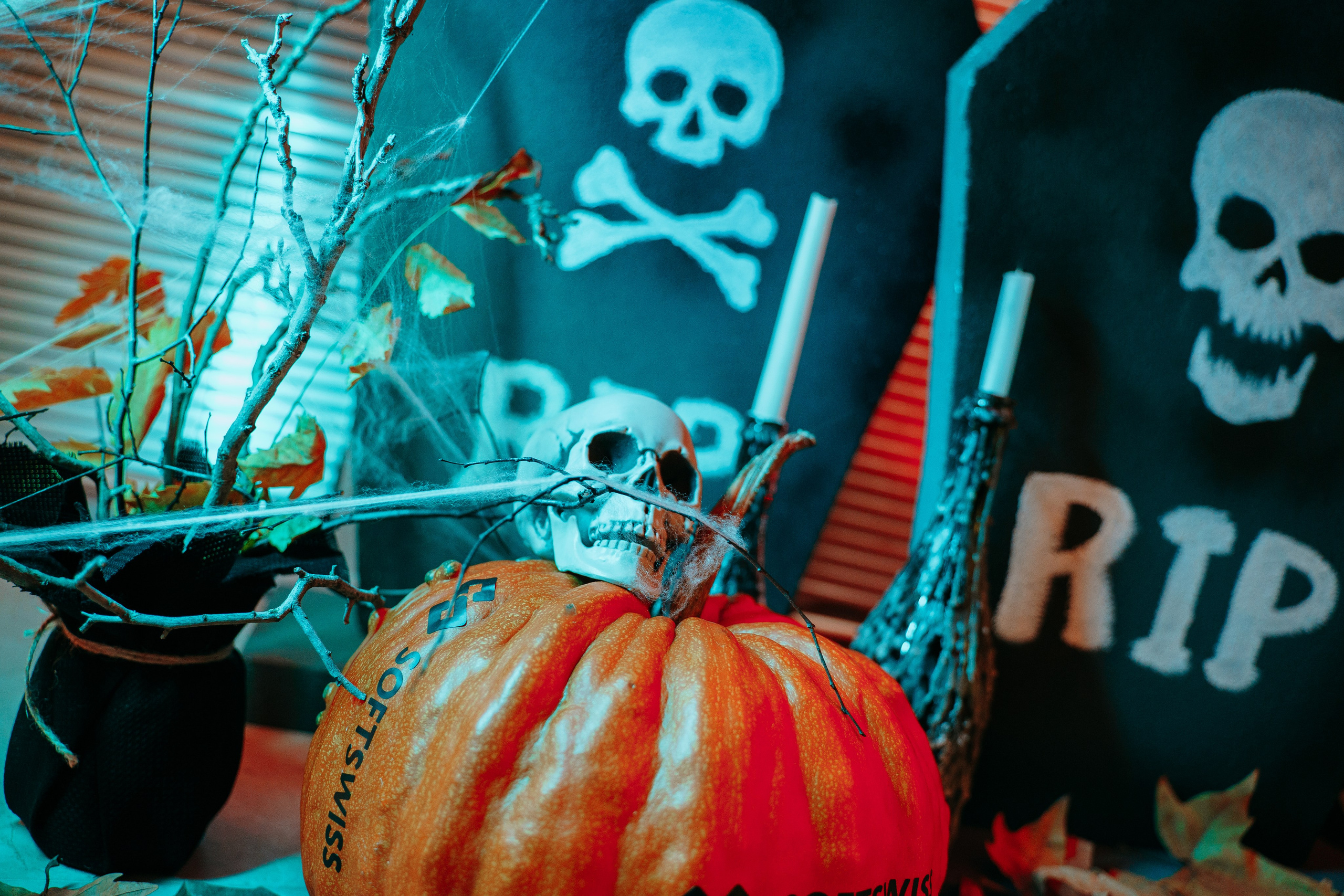 Мероприятия. Фотограф и Видеограф Илья Копытов