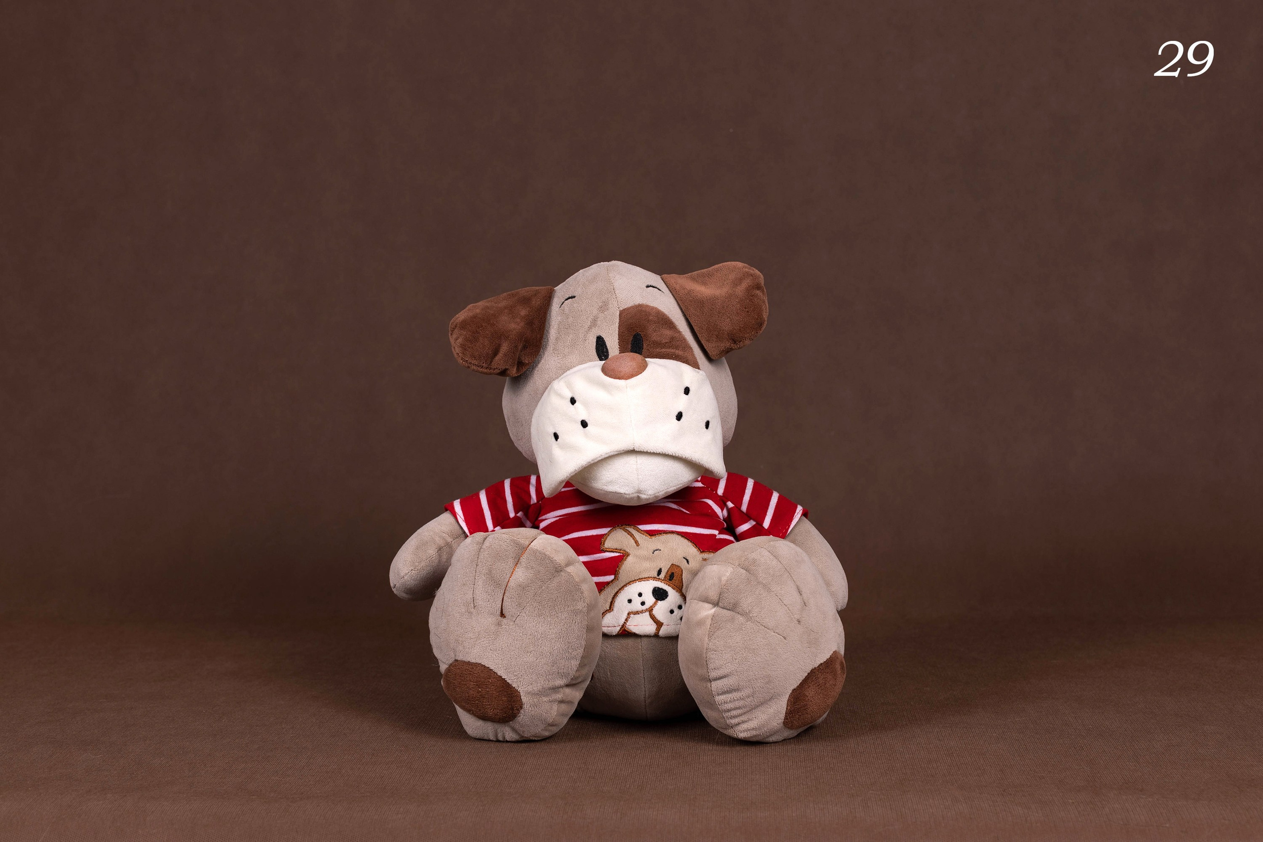 Коричневые фоны. Фотограф-анималист в Омске Екатерина Маричева