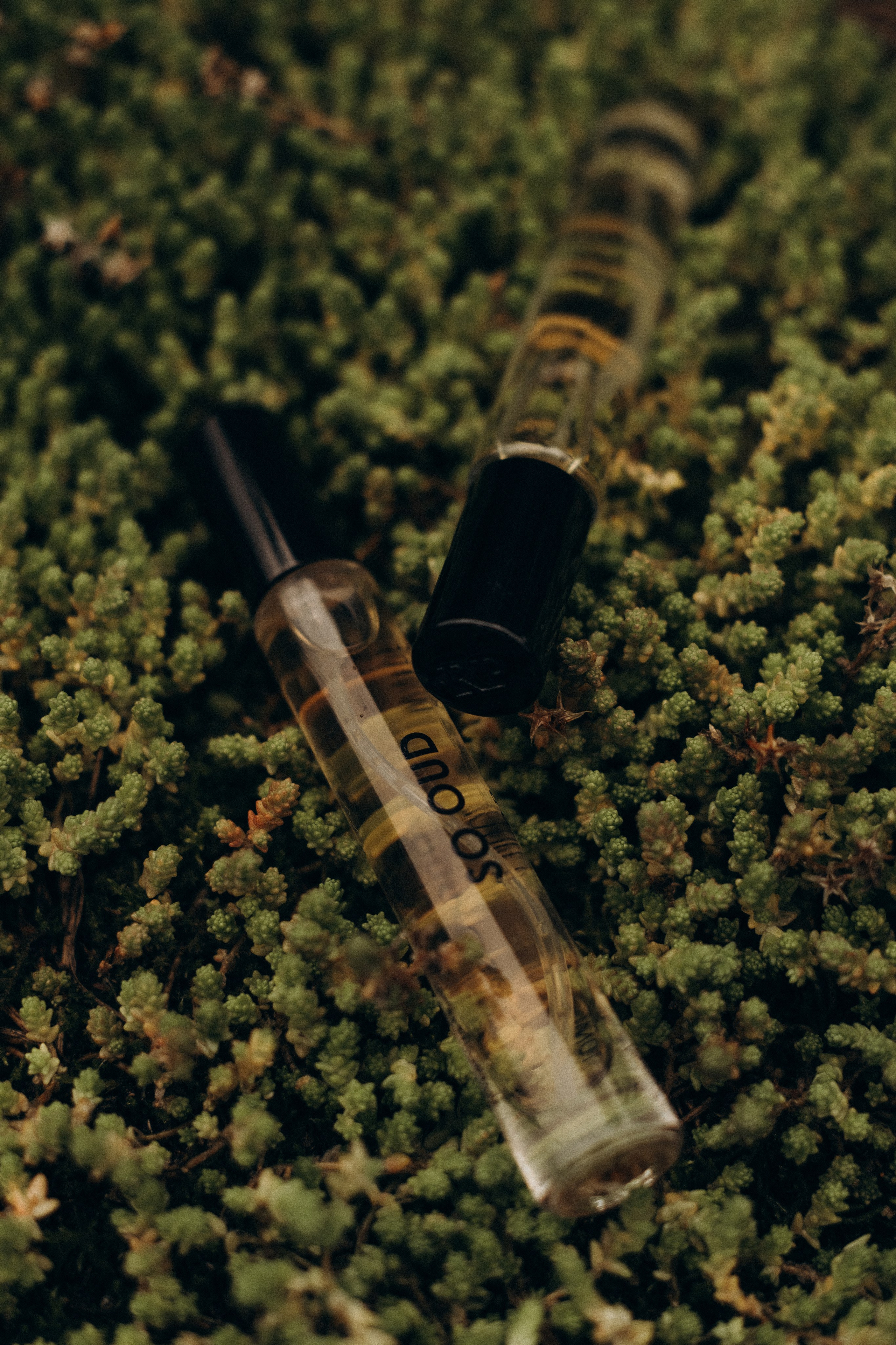 Съемка для брендов. Фотограф в Москве (готова приехать к вам в город)