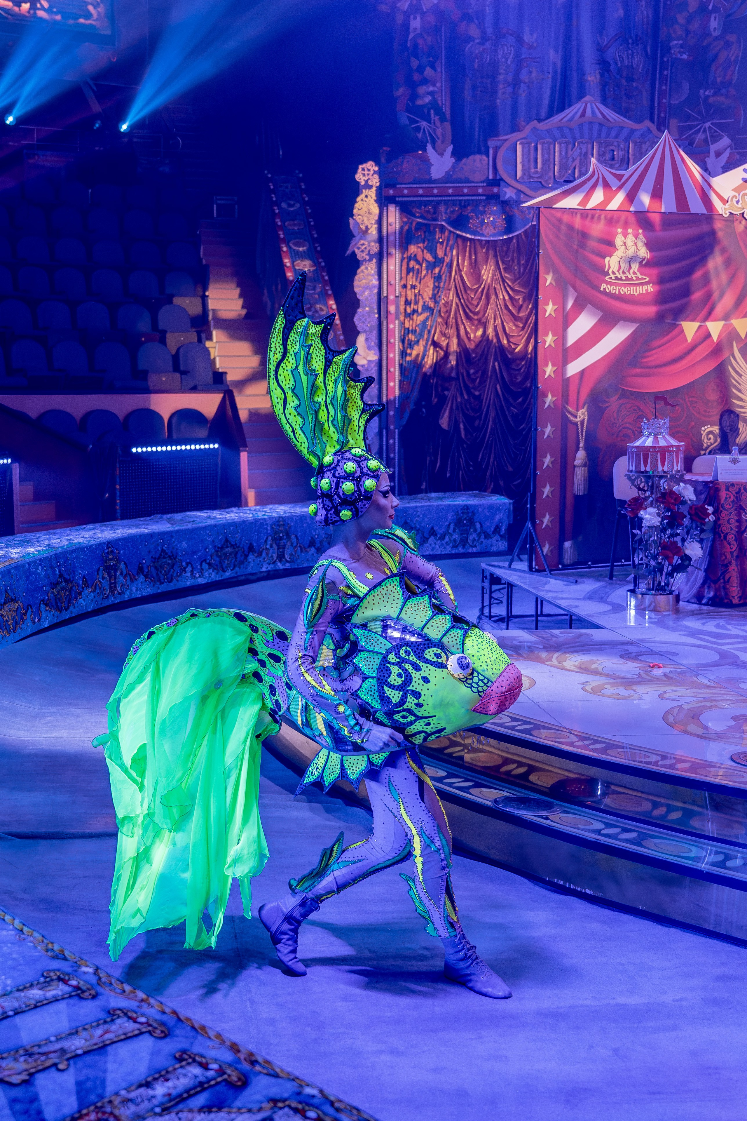 Цирк Гии Эрадзе. Наталья Слесаренко фотограф в Сочи