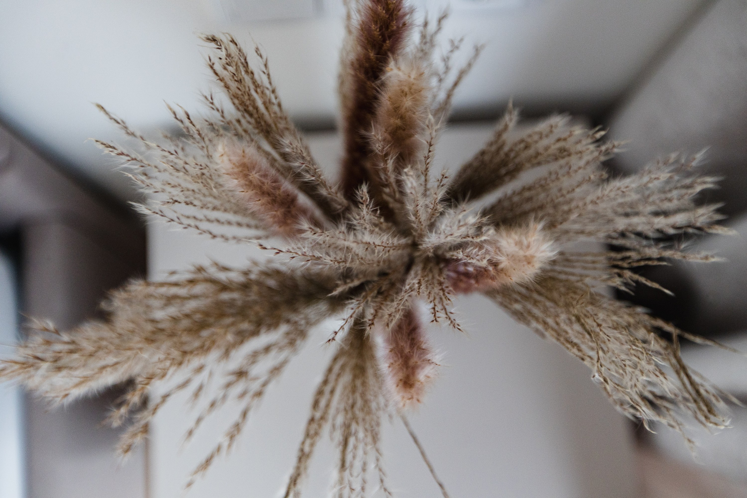 ЖК Левел Причальный. Интерьерный фотограф в Москве Роман Потапов