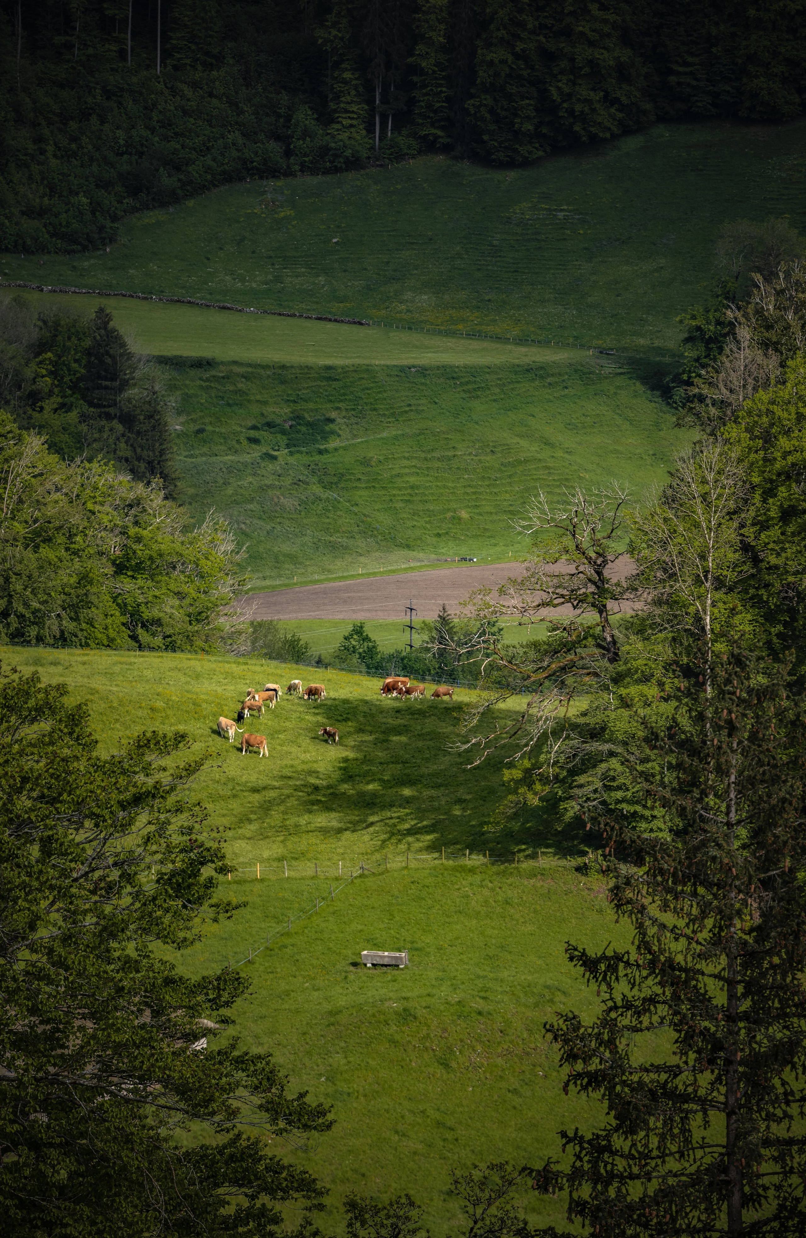 TRAVEL&NATURE. NE Cinema — backstage and reportage photography in cinema, music, Automotive and sport