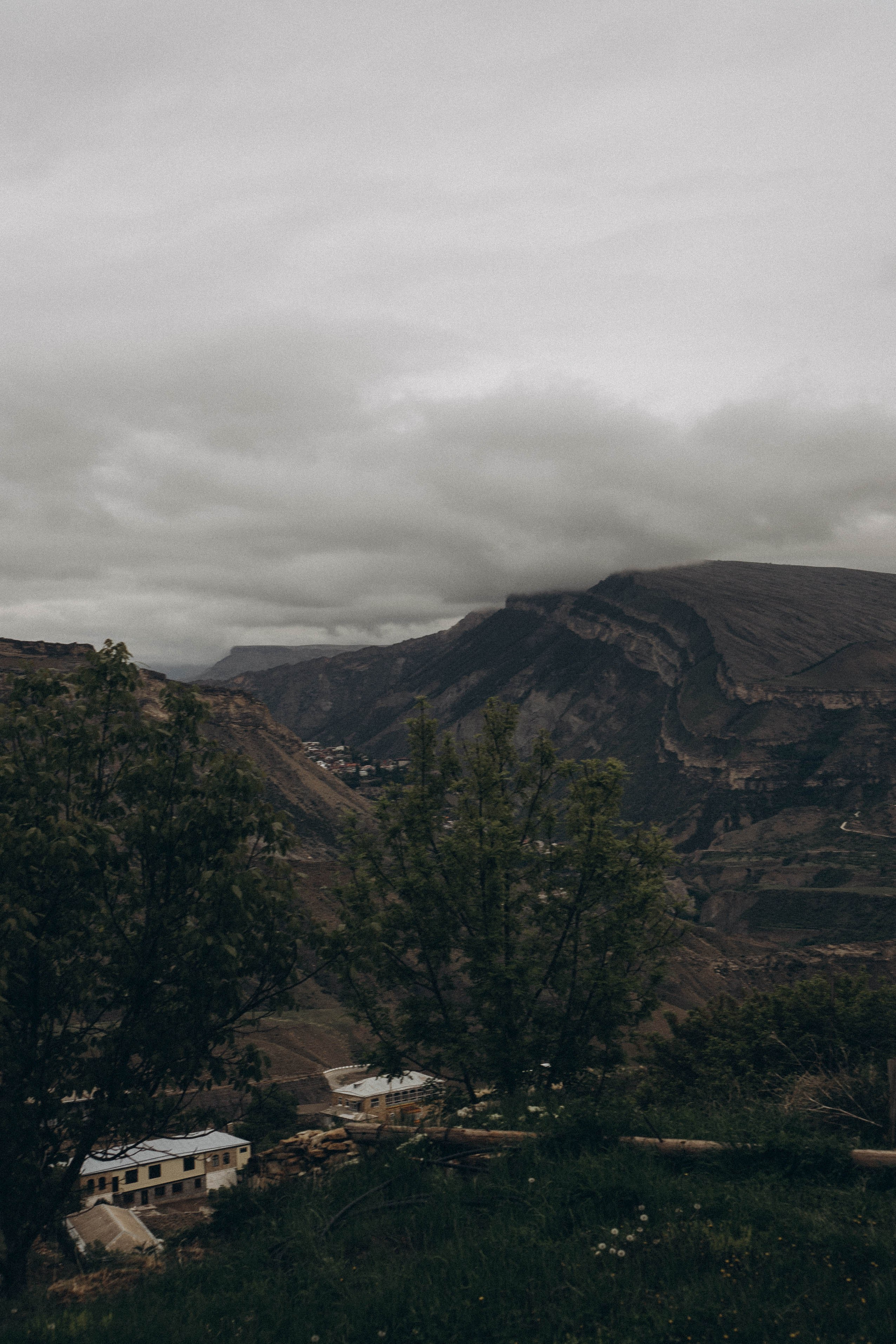 Кавказ. Профессиональный фотограф, Санкт-Петербург — Виктория Богомолова