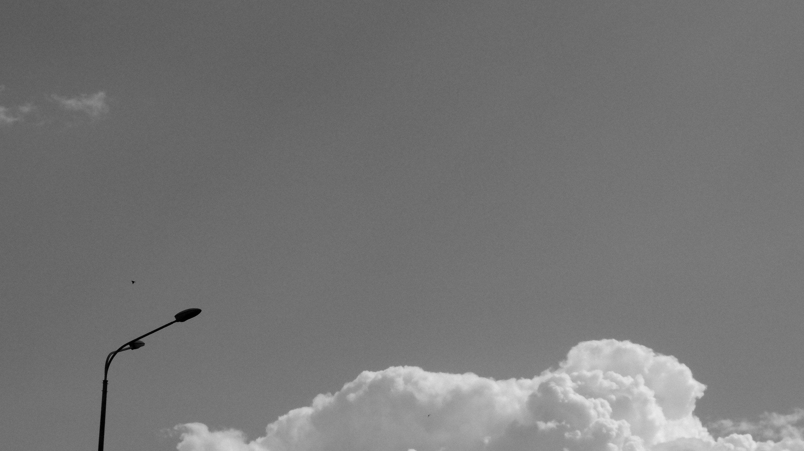 Внутривенные сны (2018-2023)