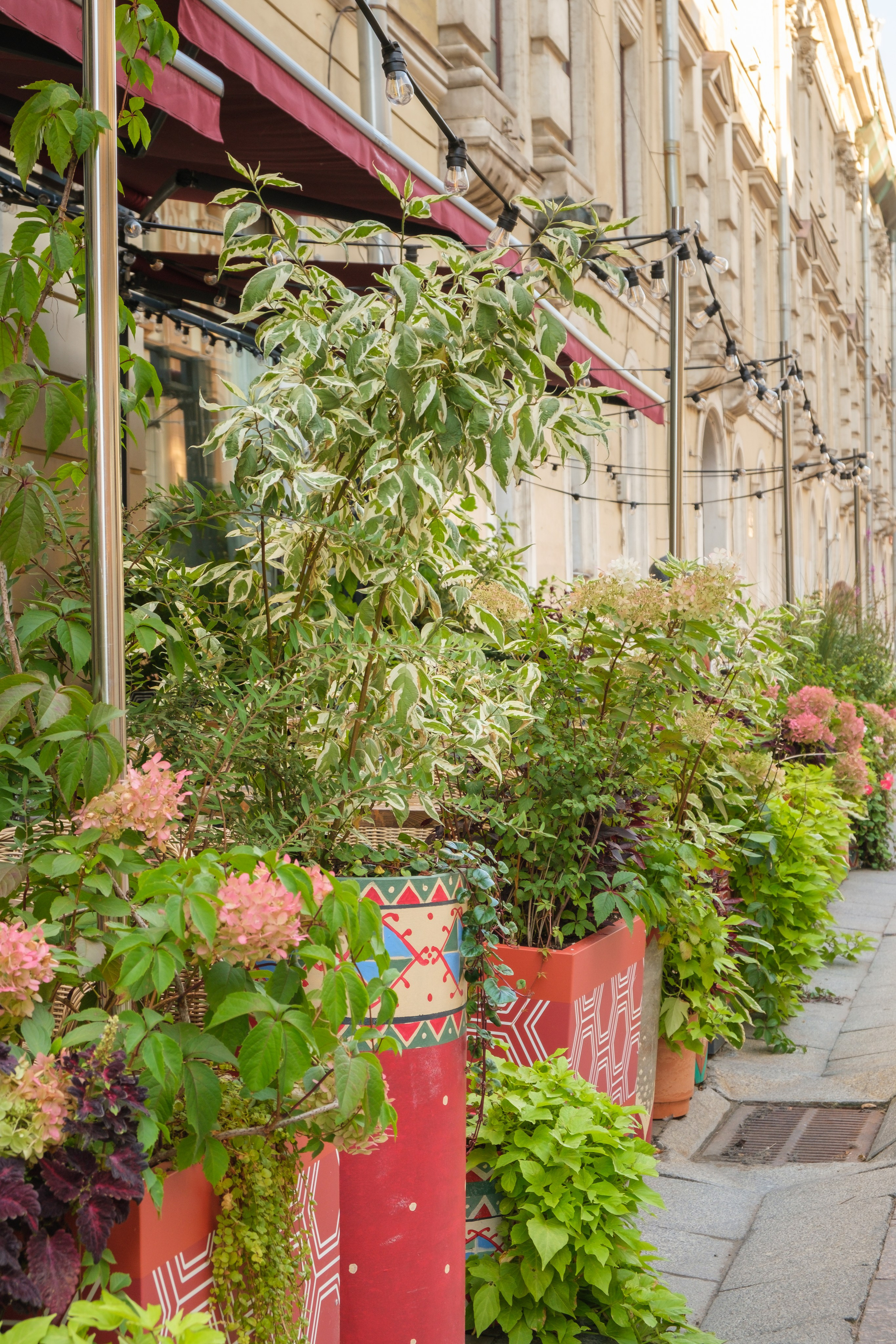 Озеленение