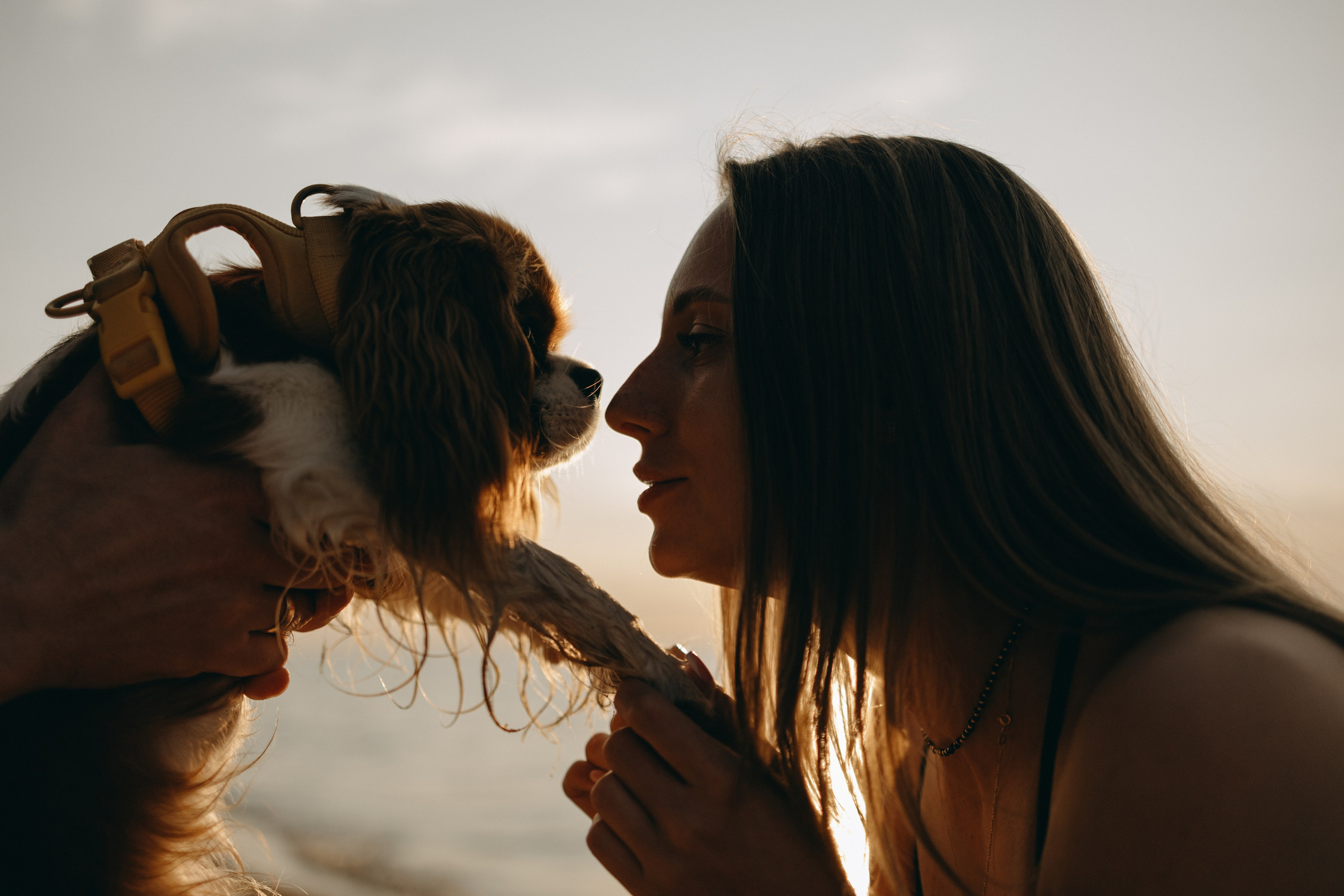 Лу и его семья. Фотограф — Анималист | Санкт-Петербург