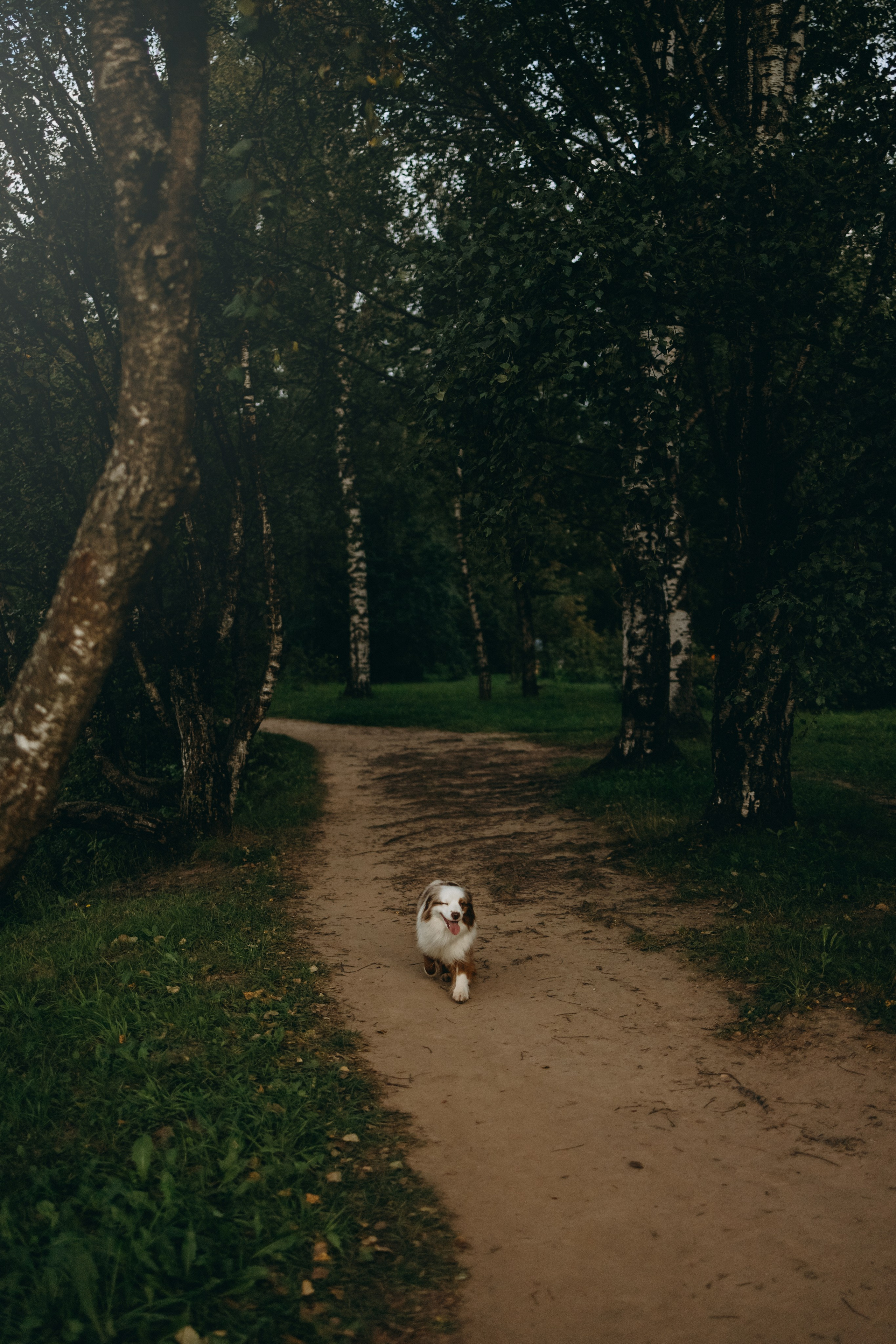 Маша и Эклер. Фотограф — Анималист | Санкт-Петербург