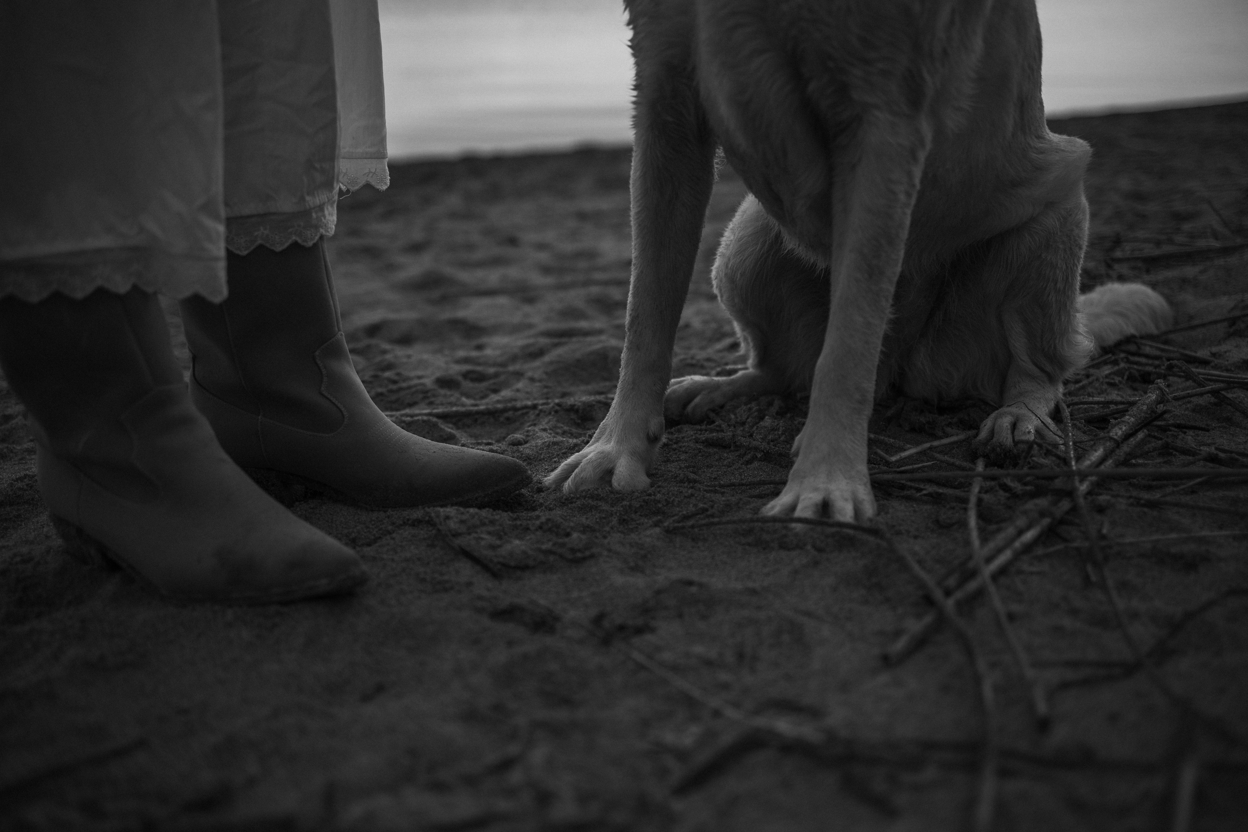 Наташа и Шани. Фотограф — Анималист | Санкт-Петербург