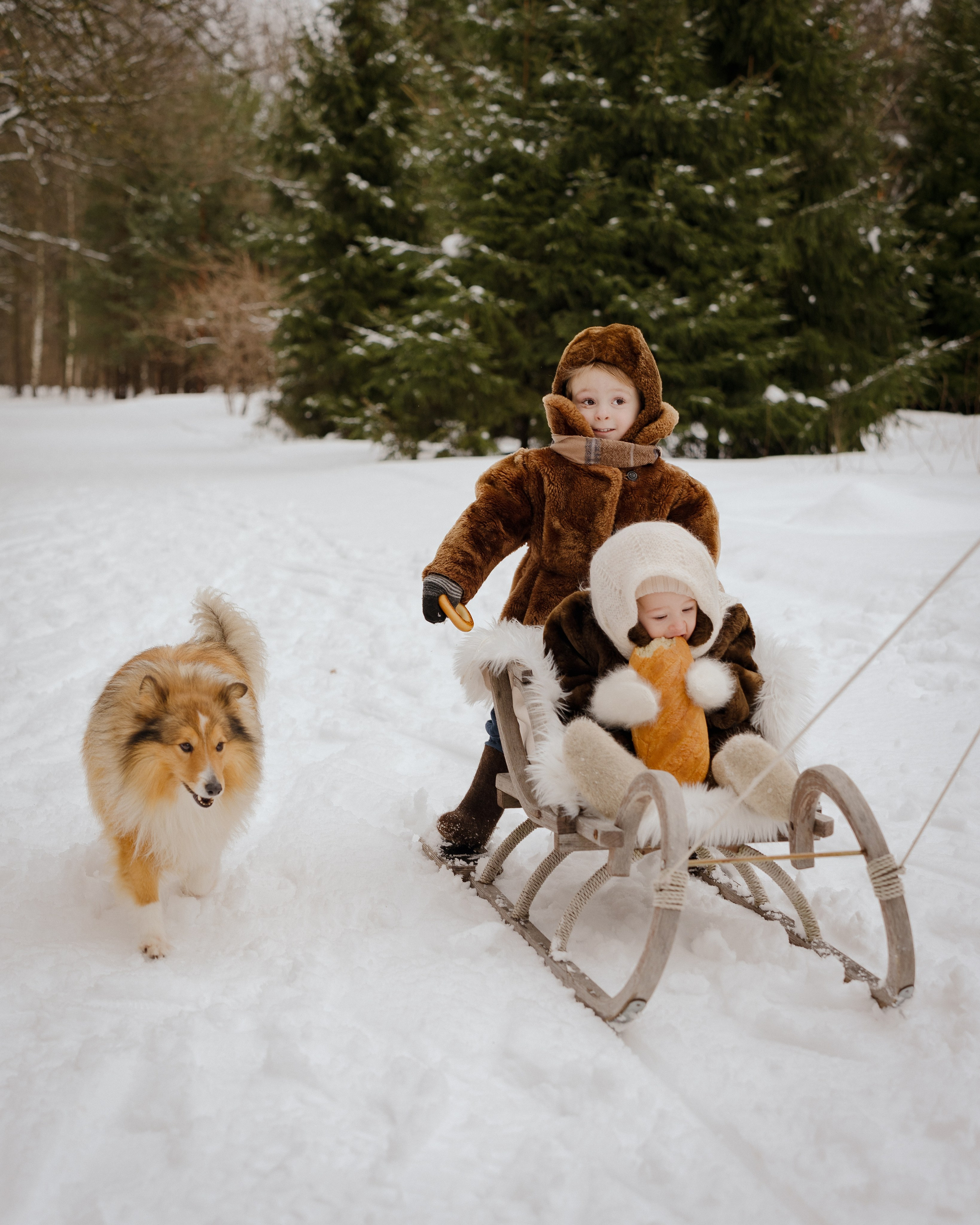 Ariana. Портретный и семейный фотограф в Москве/Видное
