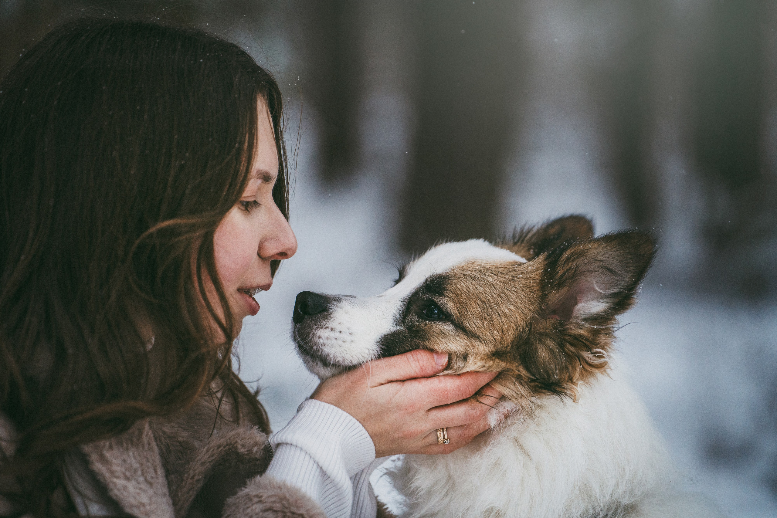 Катя, Анатолий и Елай. Фотограф анималист в Москве и Санкт-Петербурге Свиридова Анна