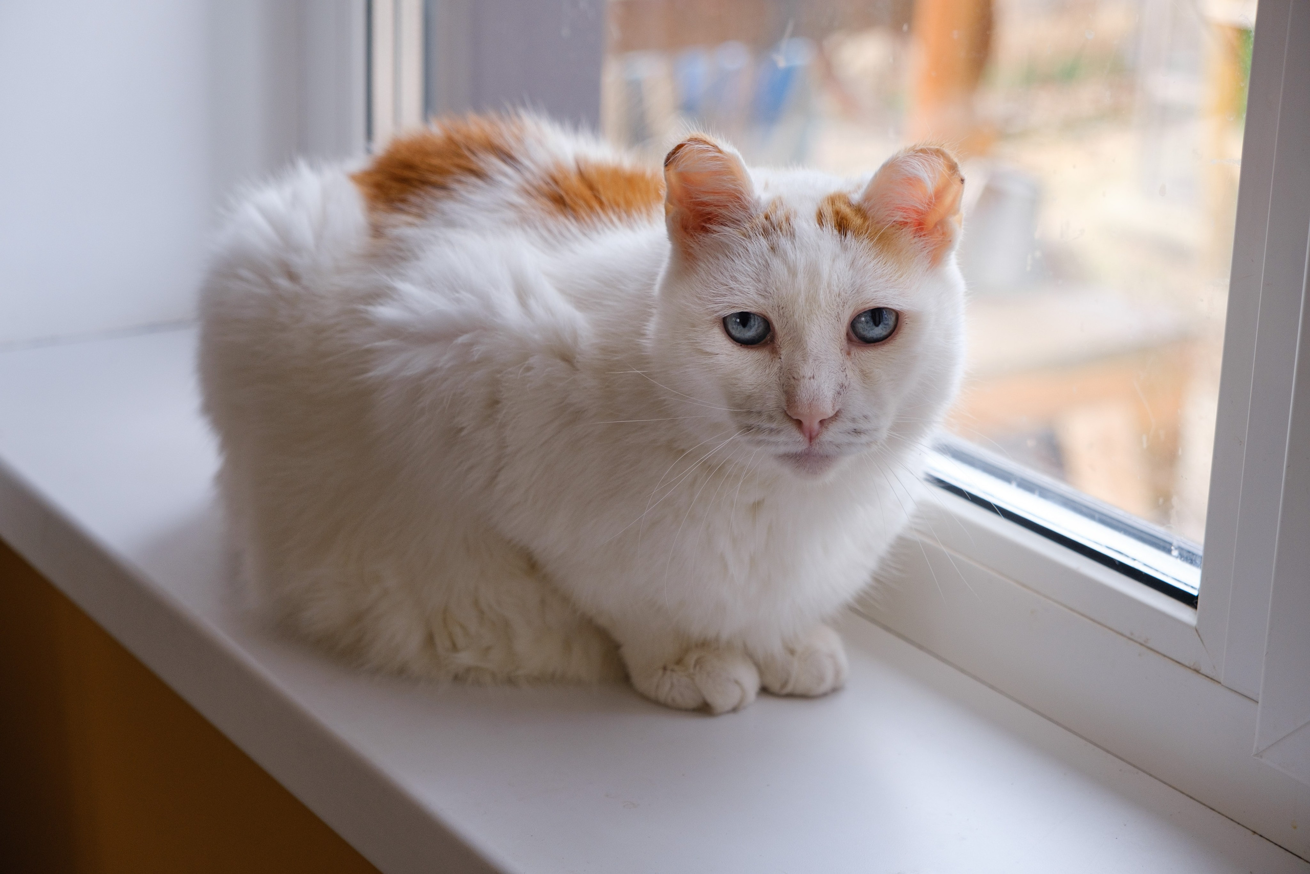 У Ирины весенним утром. Фотограф Евгения Войко Тюмень